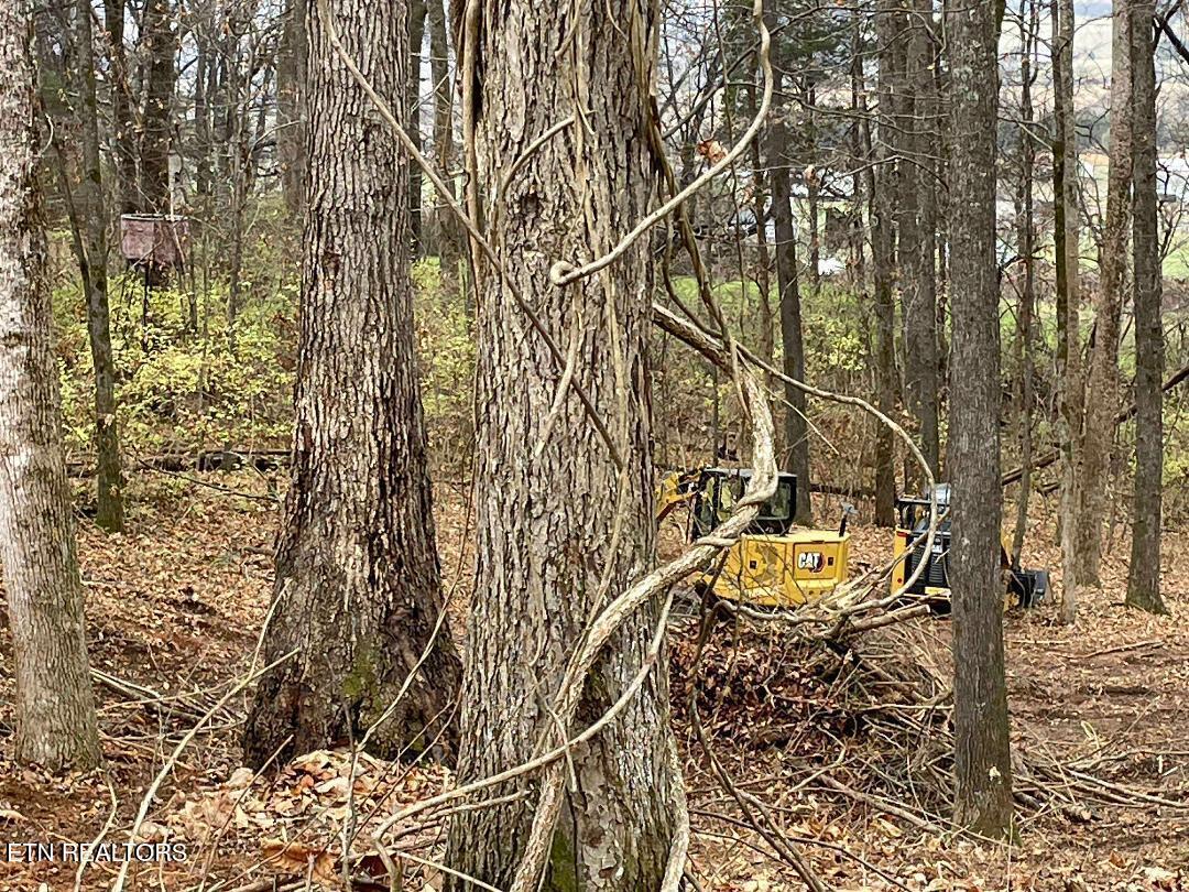 00 Lot 10 Poplar Drive Sweetwater TN 37874