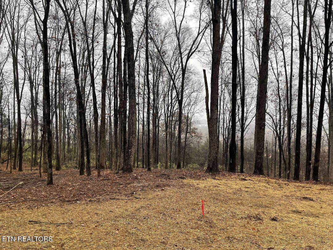 00 Lot 10 Poplar Drive Sweetwater TN 37874