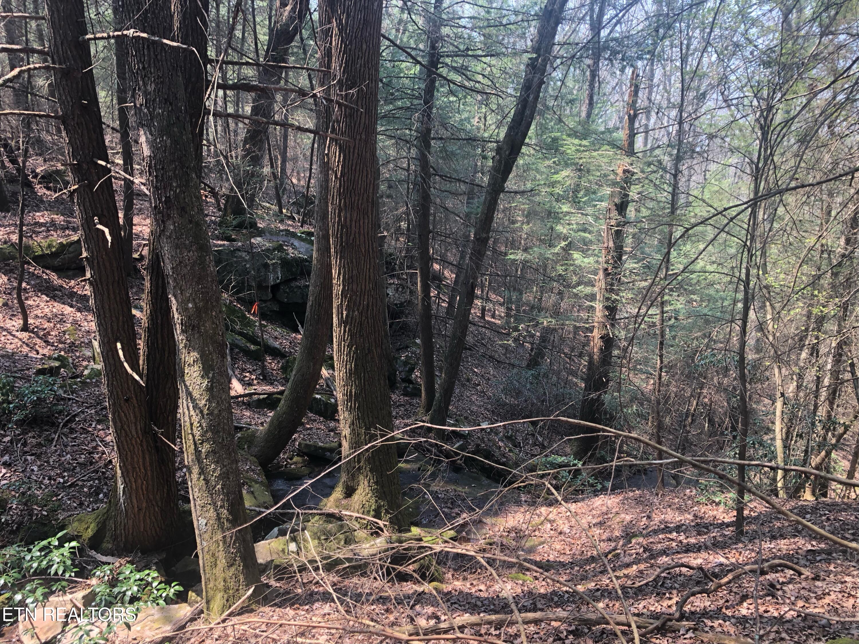 60 ± Ac Jim Garrett Road Monterey TN 38574