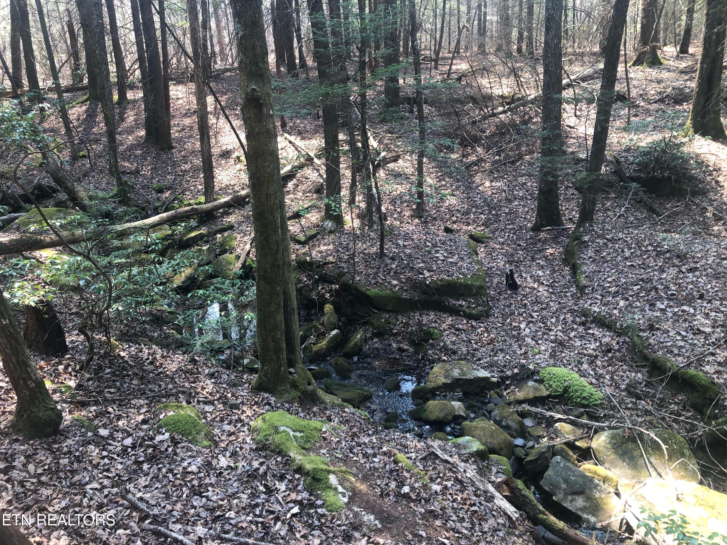 60 ± Ac Jim Garrett Road Monterey TN 38574