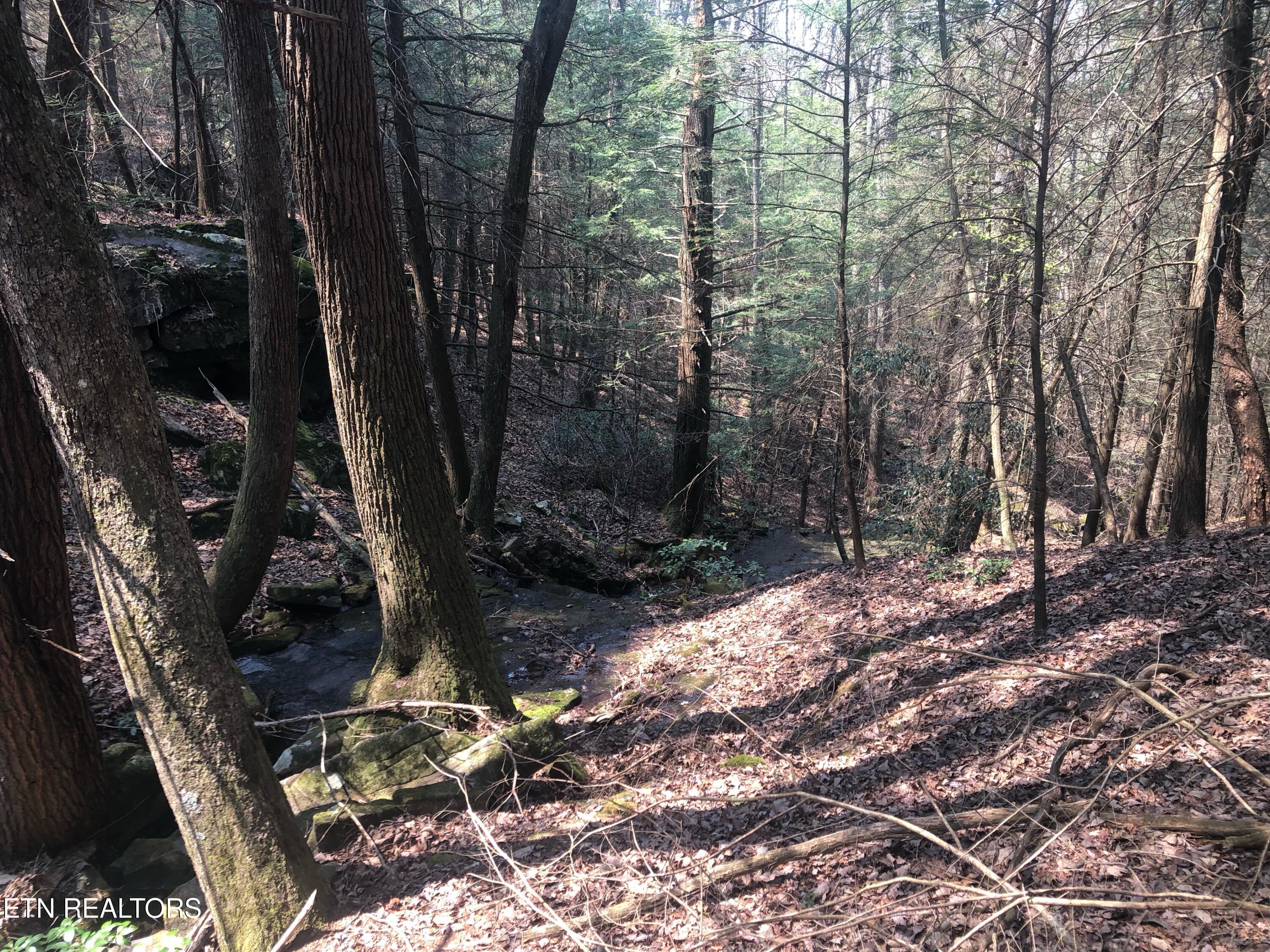 60 ± Ac Jim Garrett Road Monterey TN 38574