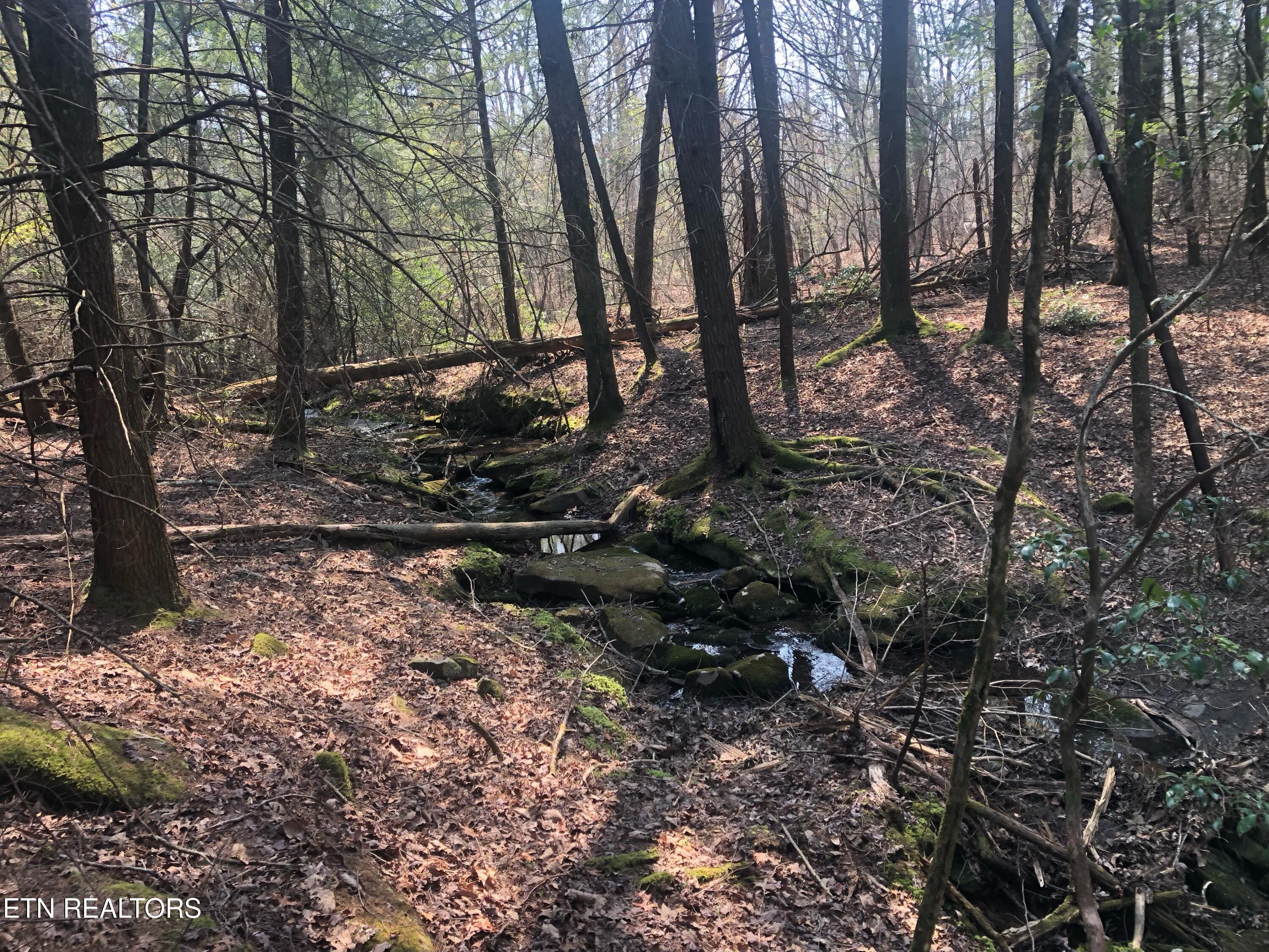 60 ± Ac Jim Garrett Road Monterey TN 38574
