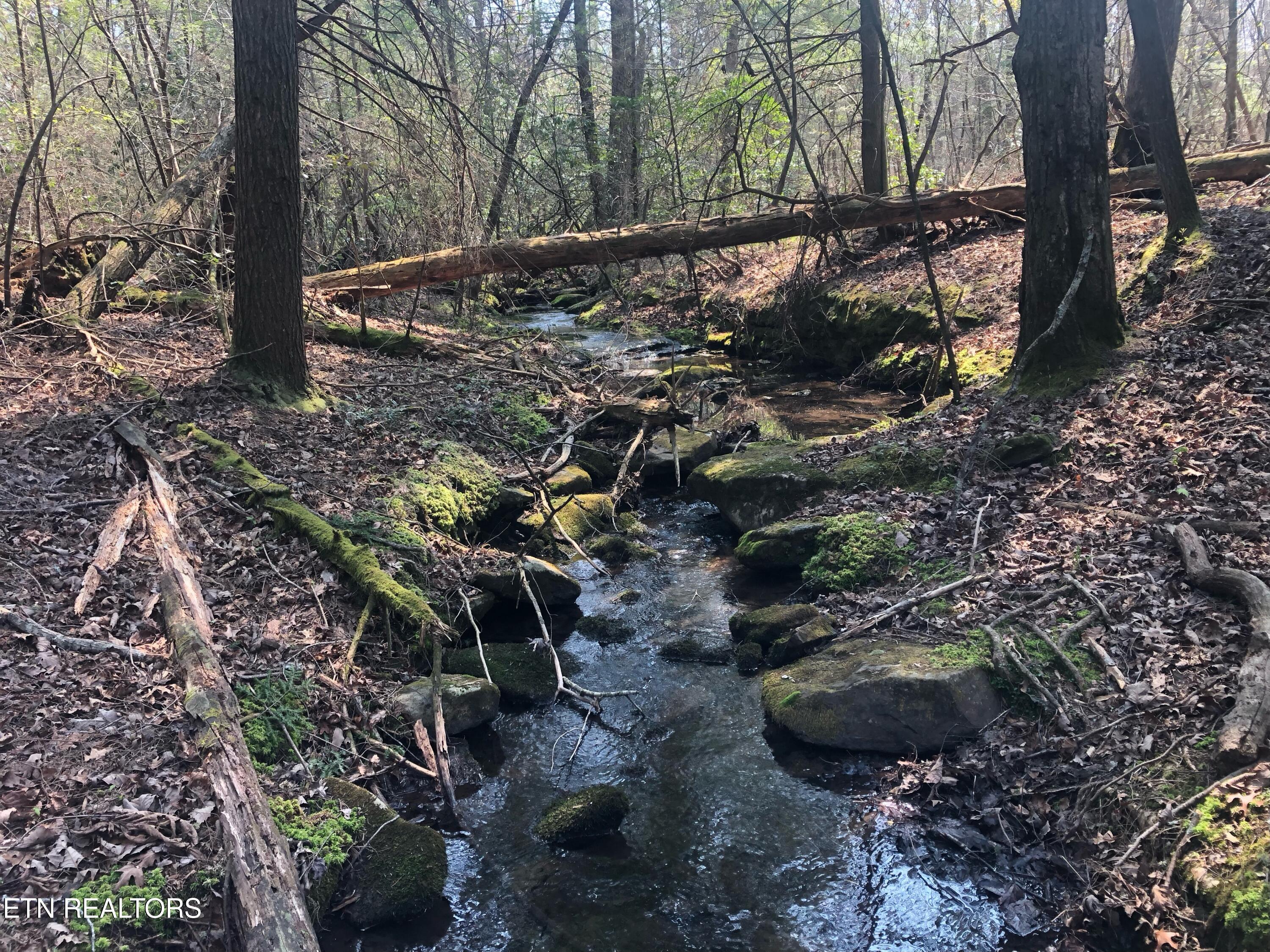 60 ± Ac Jim Garrett Road Monterey TN 38574