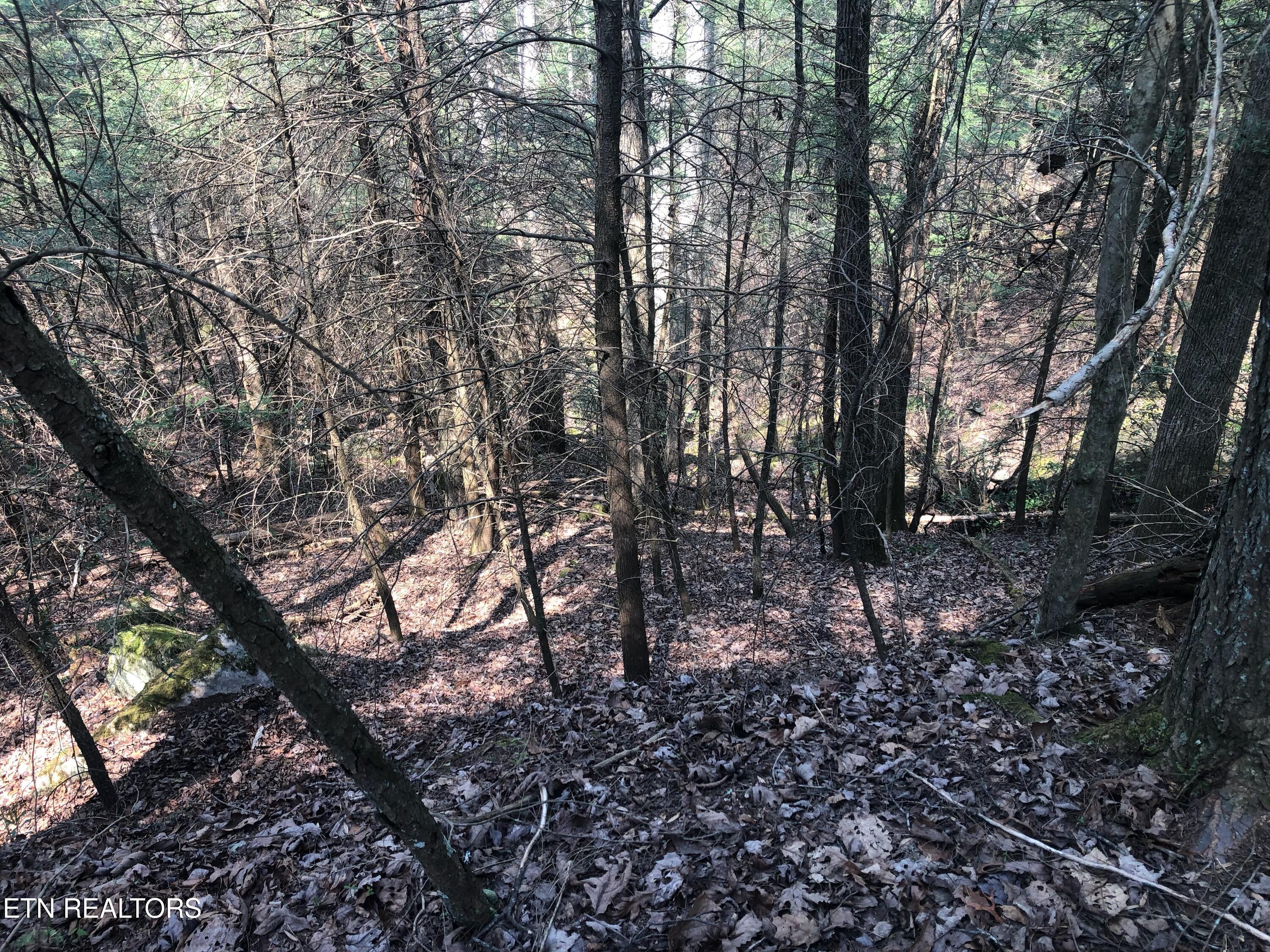 60 ± Ac Jim Garrett Road Monterey TN 38574