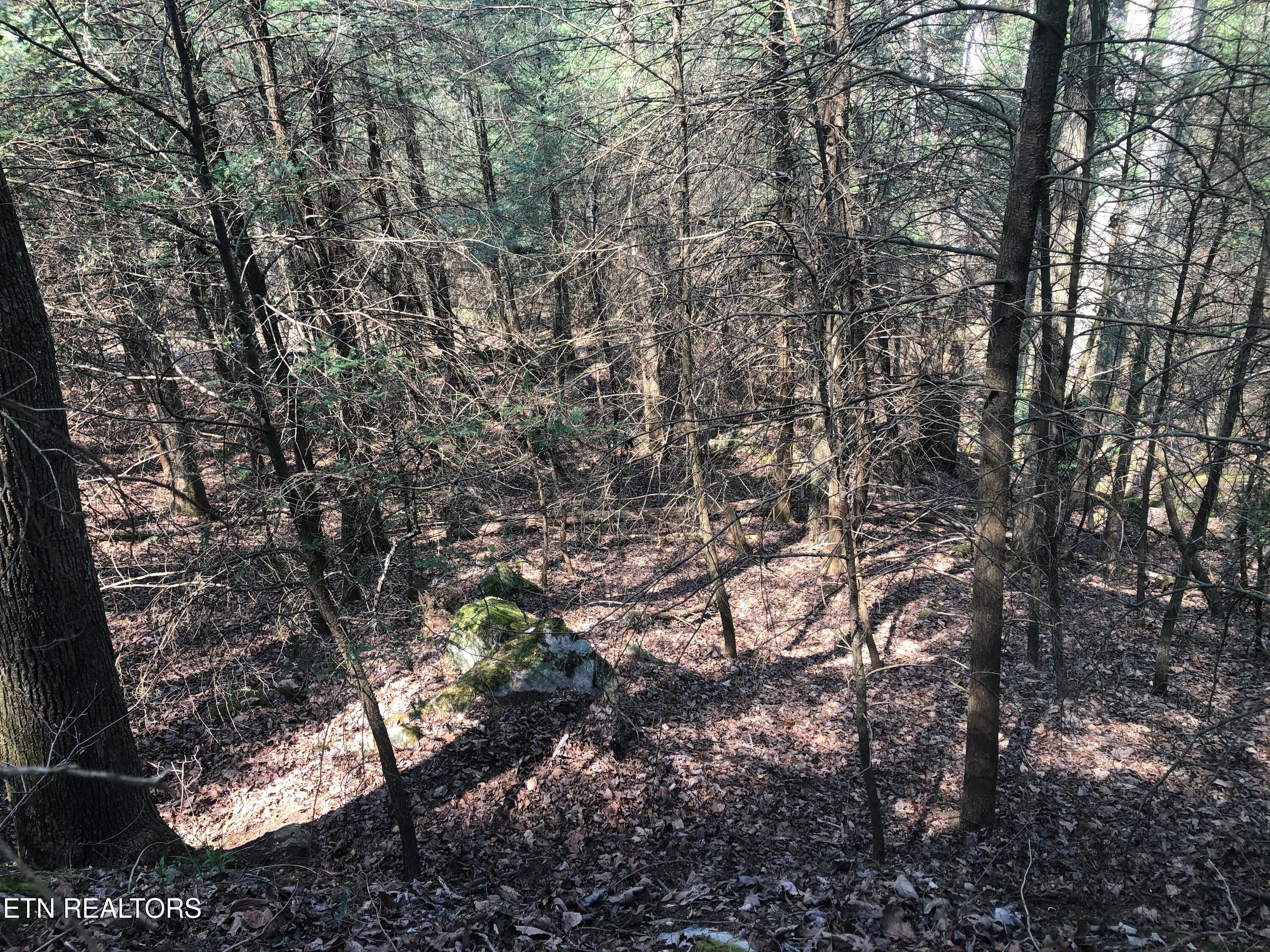 60 ± Ac Jim Garrett Road Monterey TN 38574