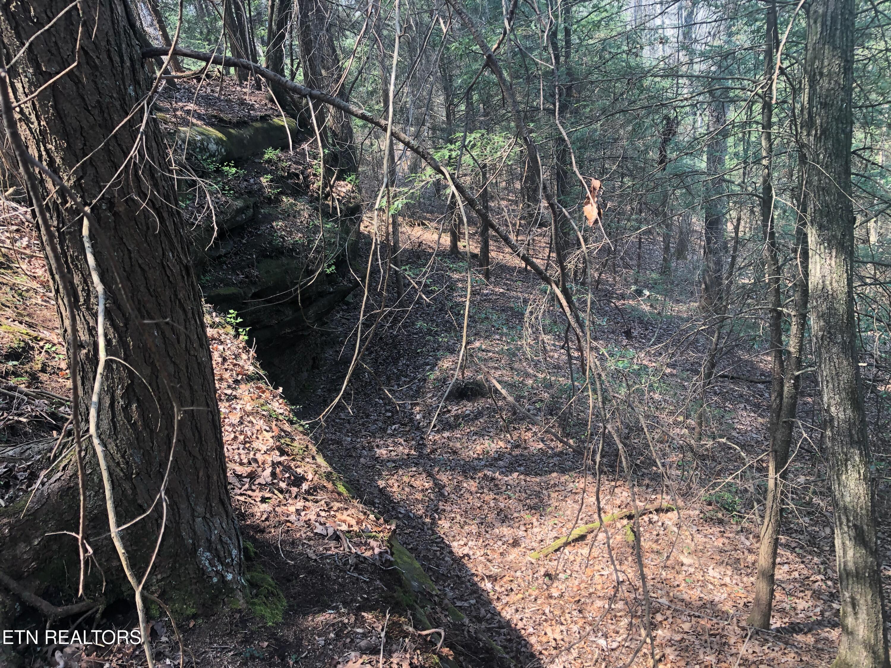60 ± Ac Jim Garrett Road Monterey TN 38574