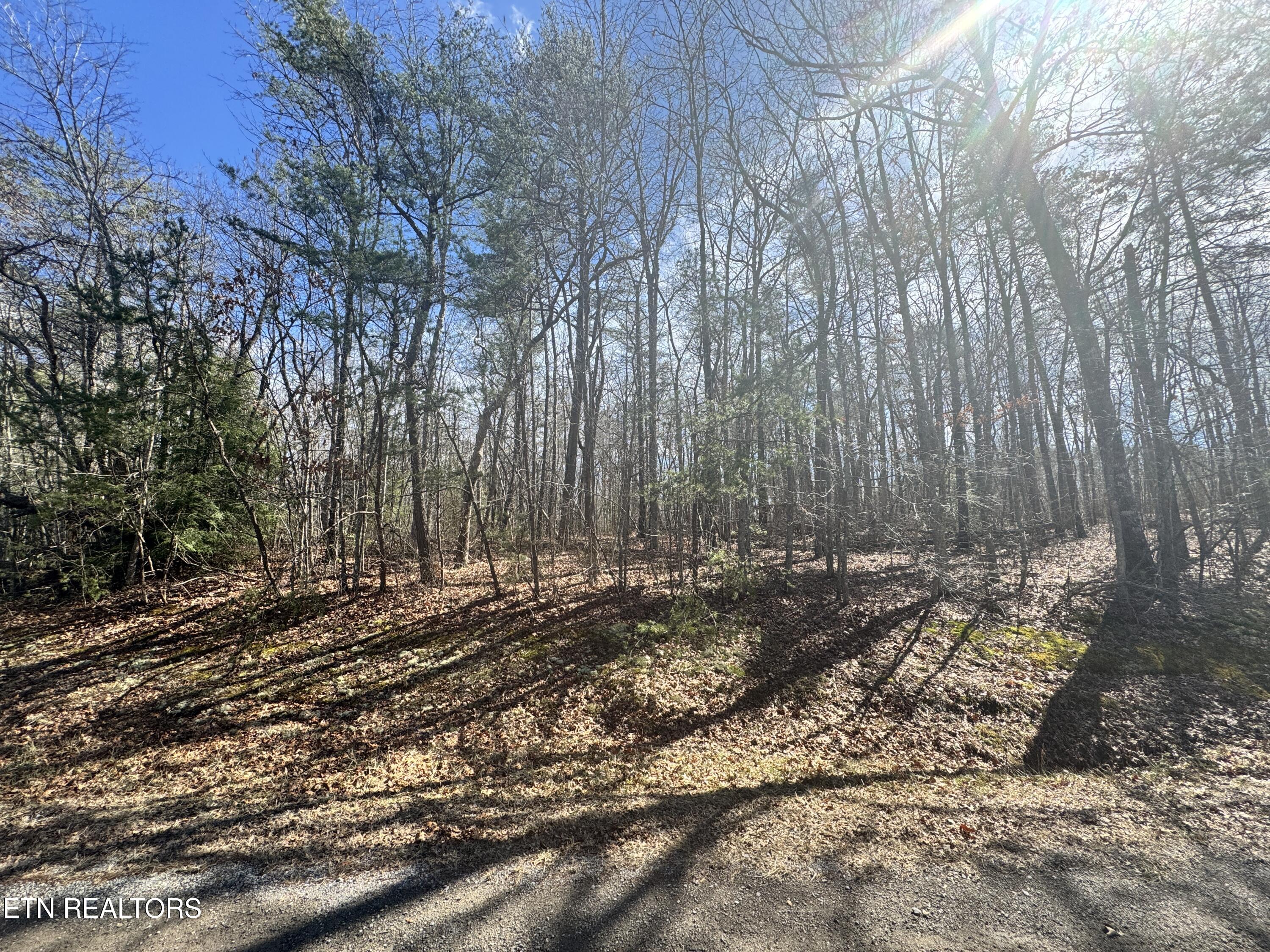N Laurel Loop Monterey TN 38574