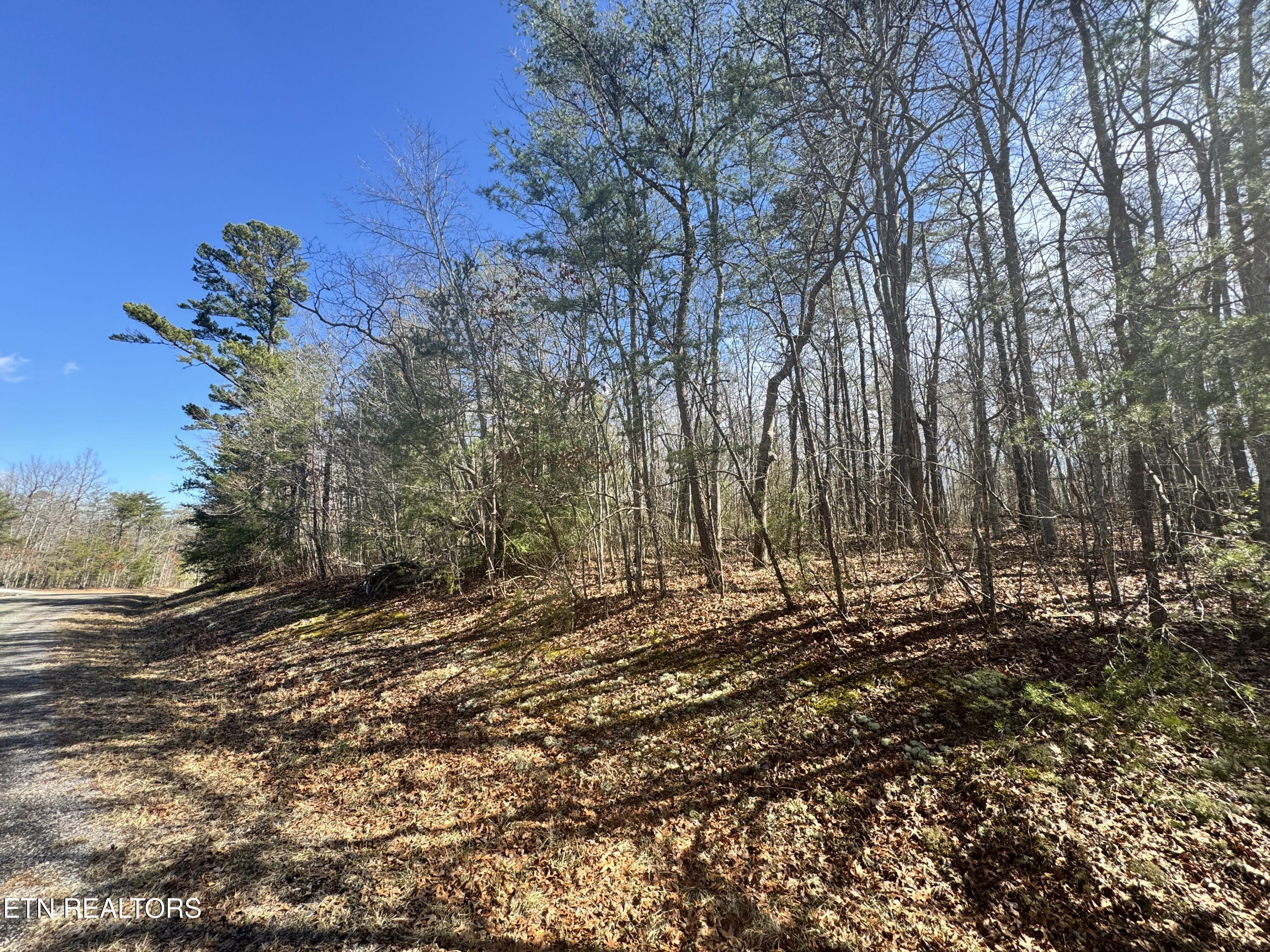 N Laurel Loop Monterey TN 38574