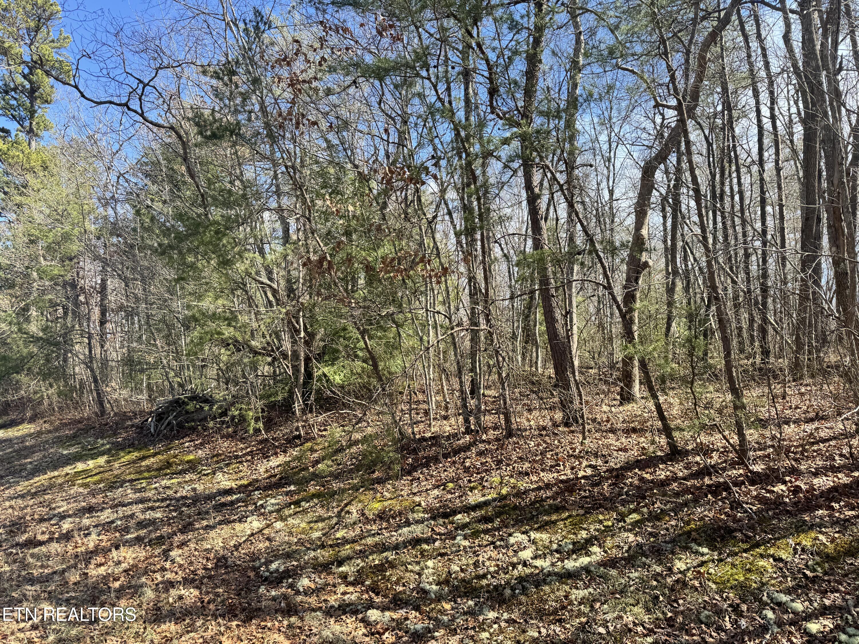 N Laurel Loop Monterey TN 38574