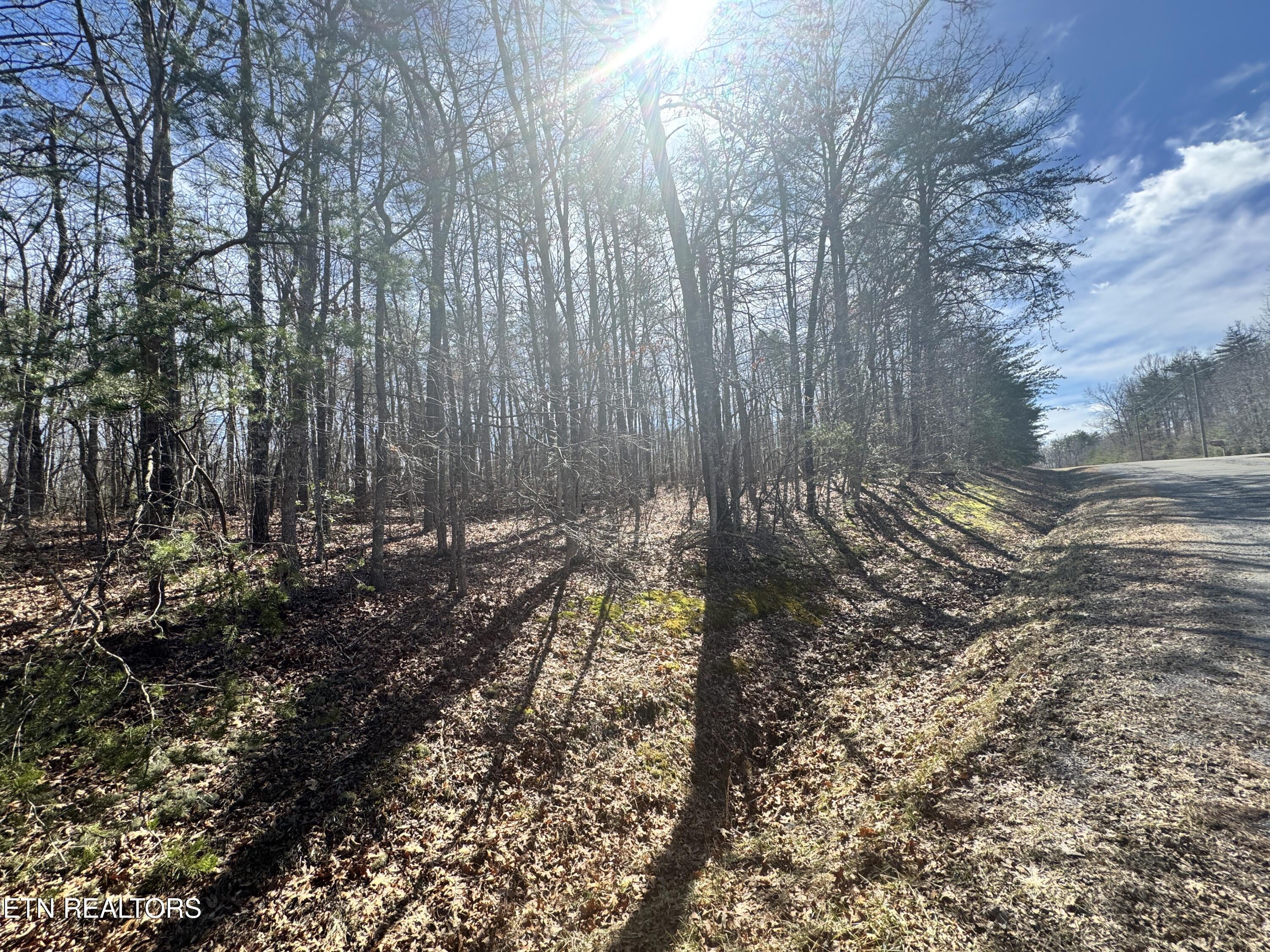 N Laurel Loop Monterey TN 38574