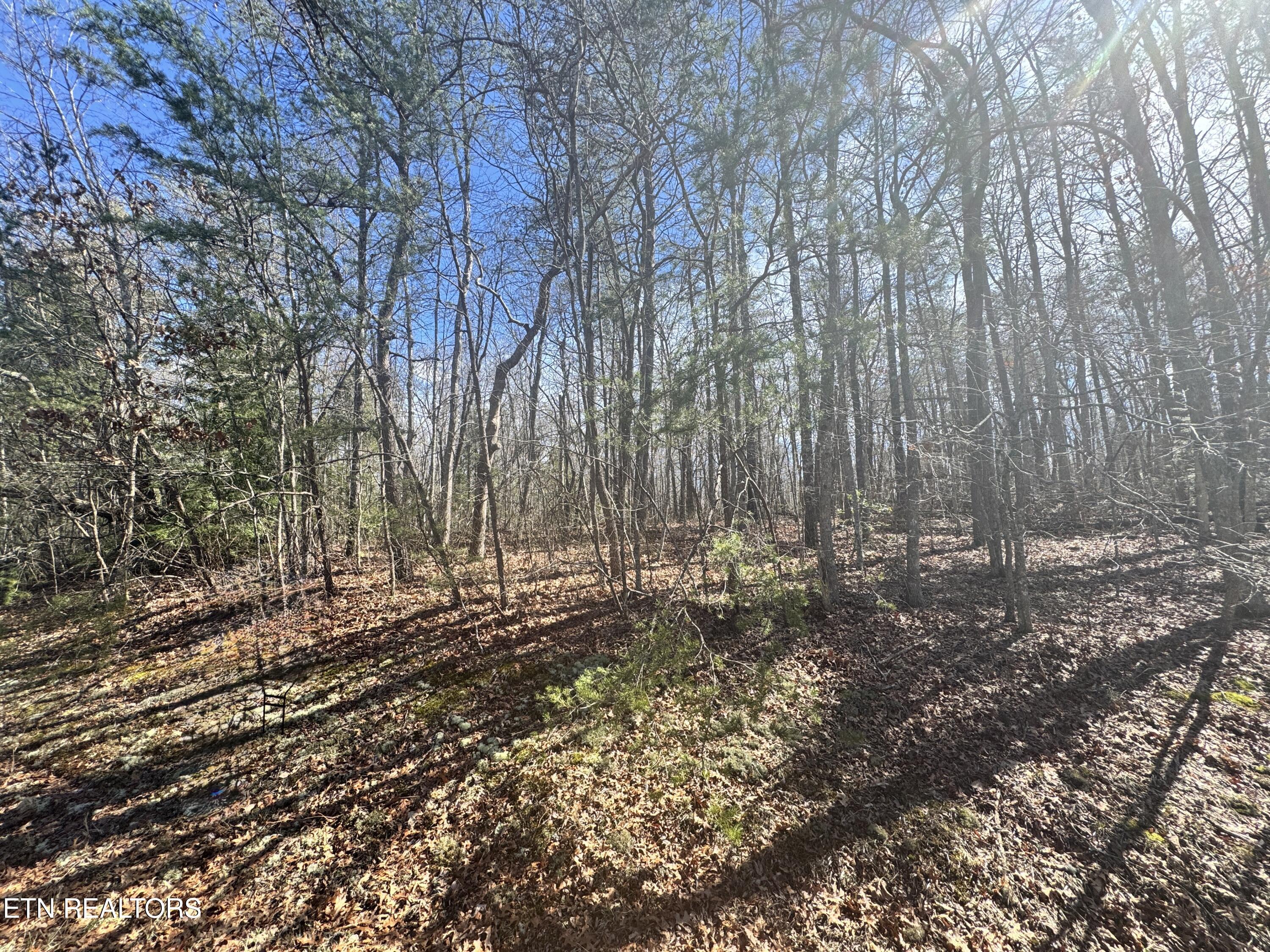 N Laurel Loop Monterey TN 38574