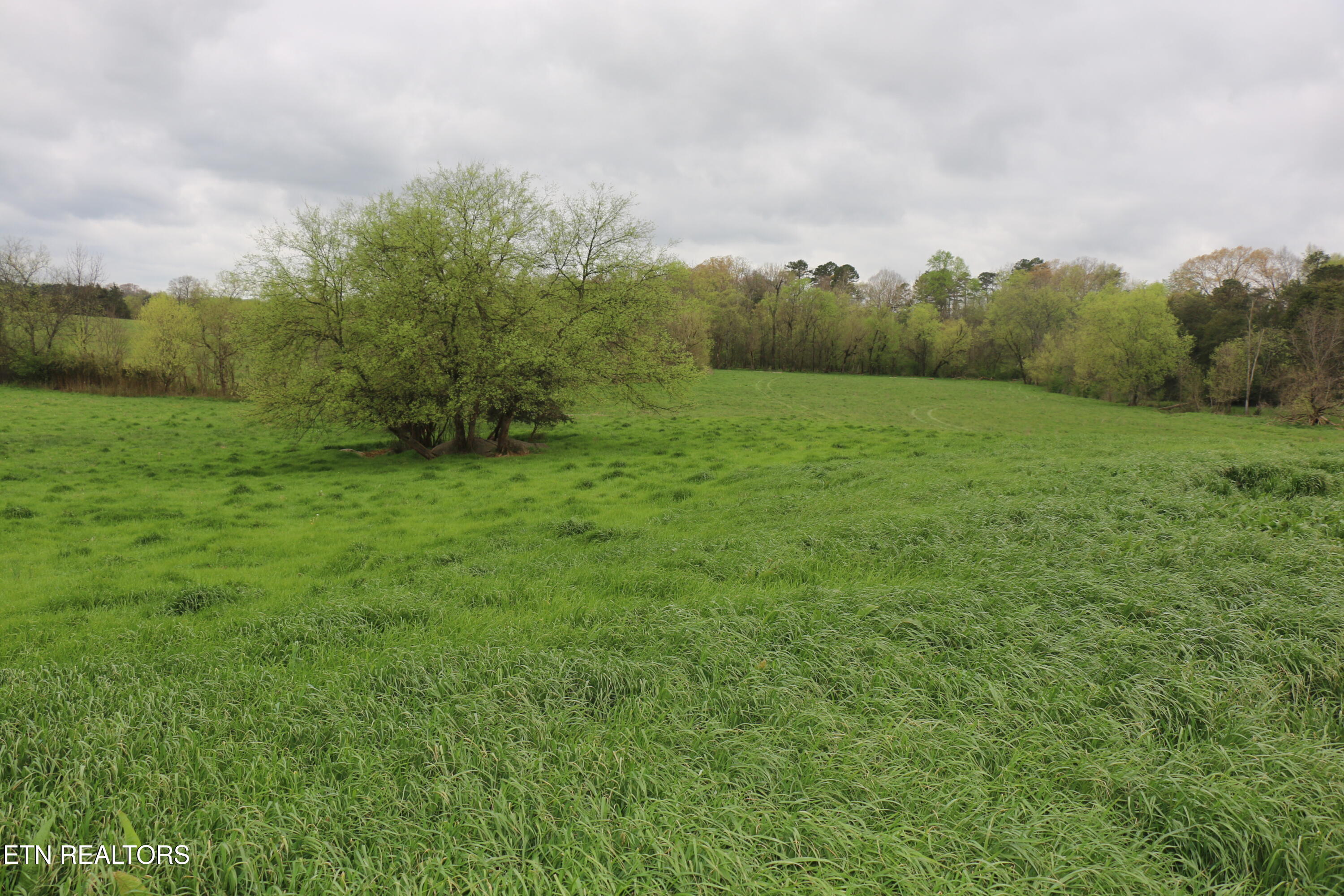 5.51 Acres Campground Road Madisonville TN 37354