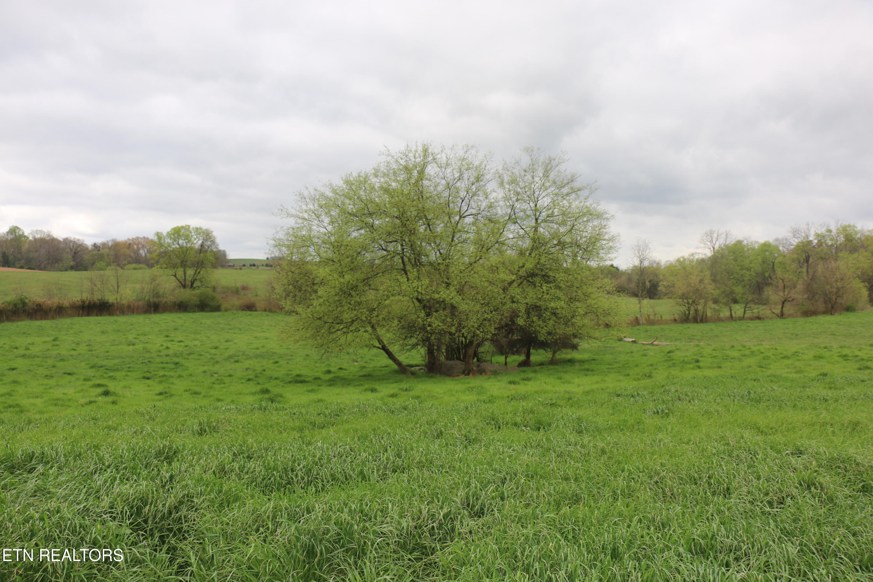 5.51 Acres Campground Road Madisonville TN 37354