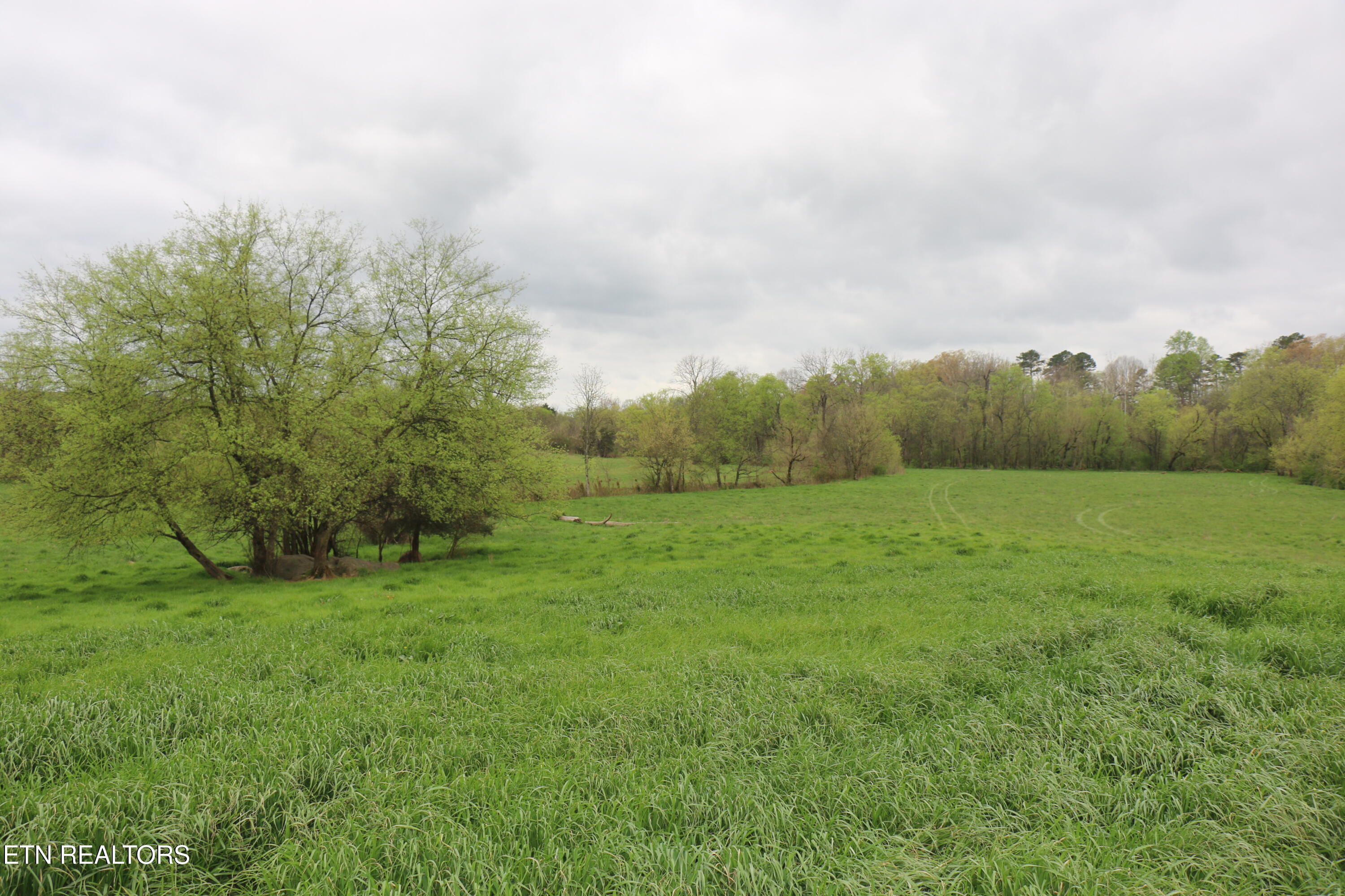 5.51 Acres Campground Road Madisonville TN 37354