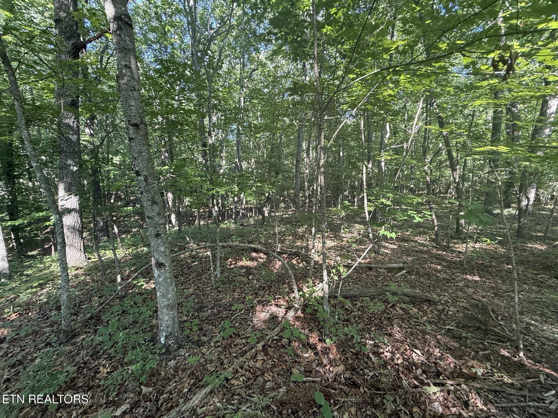 664 Catoosa Boulevard Crossville TN 38558
