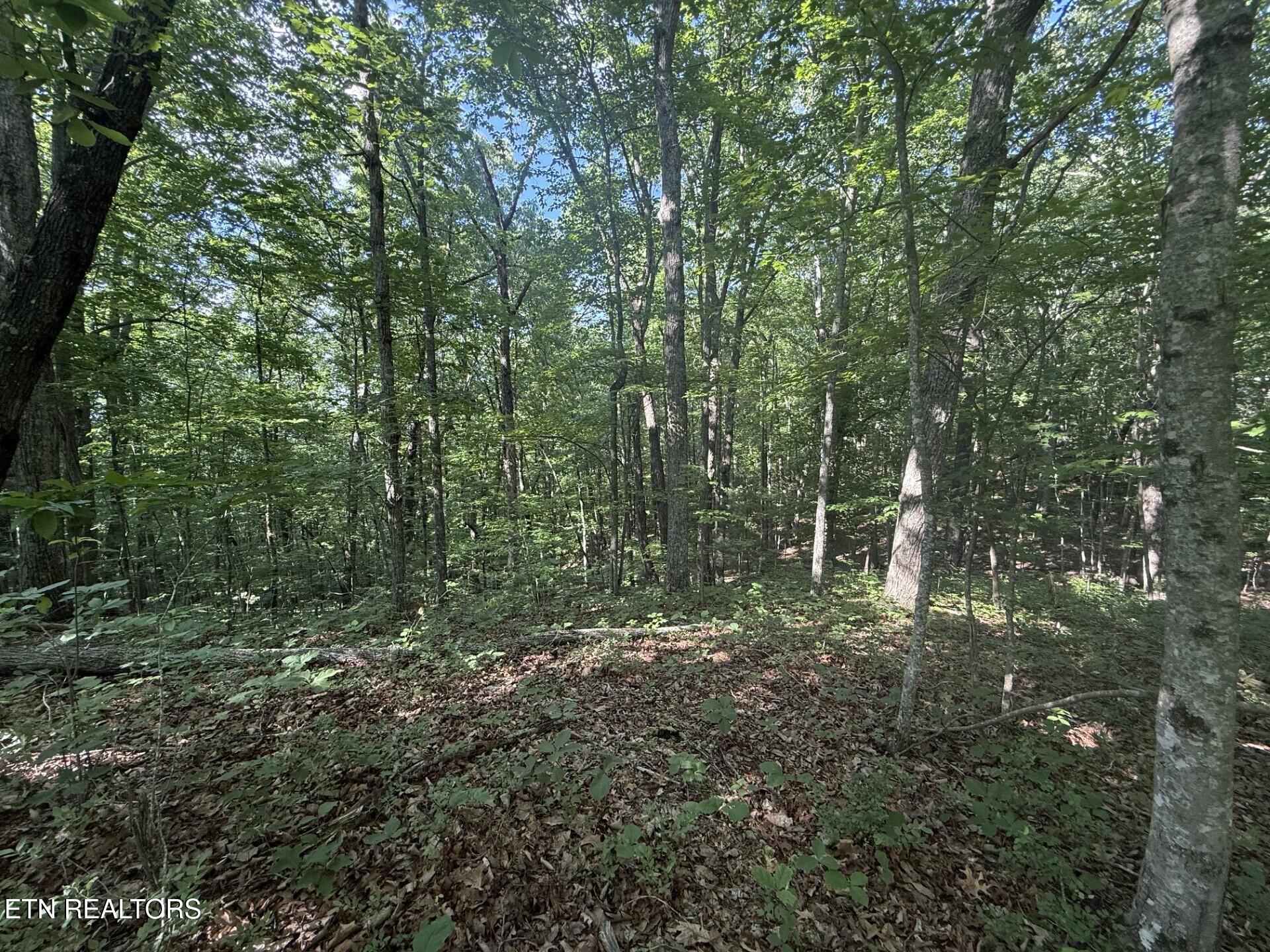 664 Catoosa Boulevard Crossville TN 38558