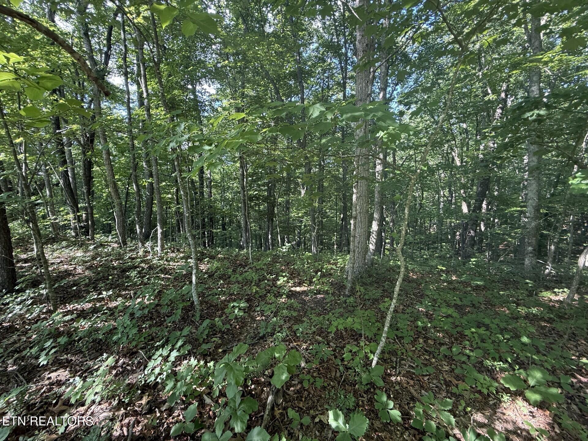 664 Catoosa Boulevard Crossville TN 38558