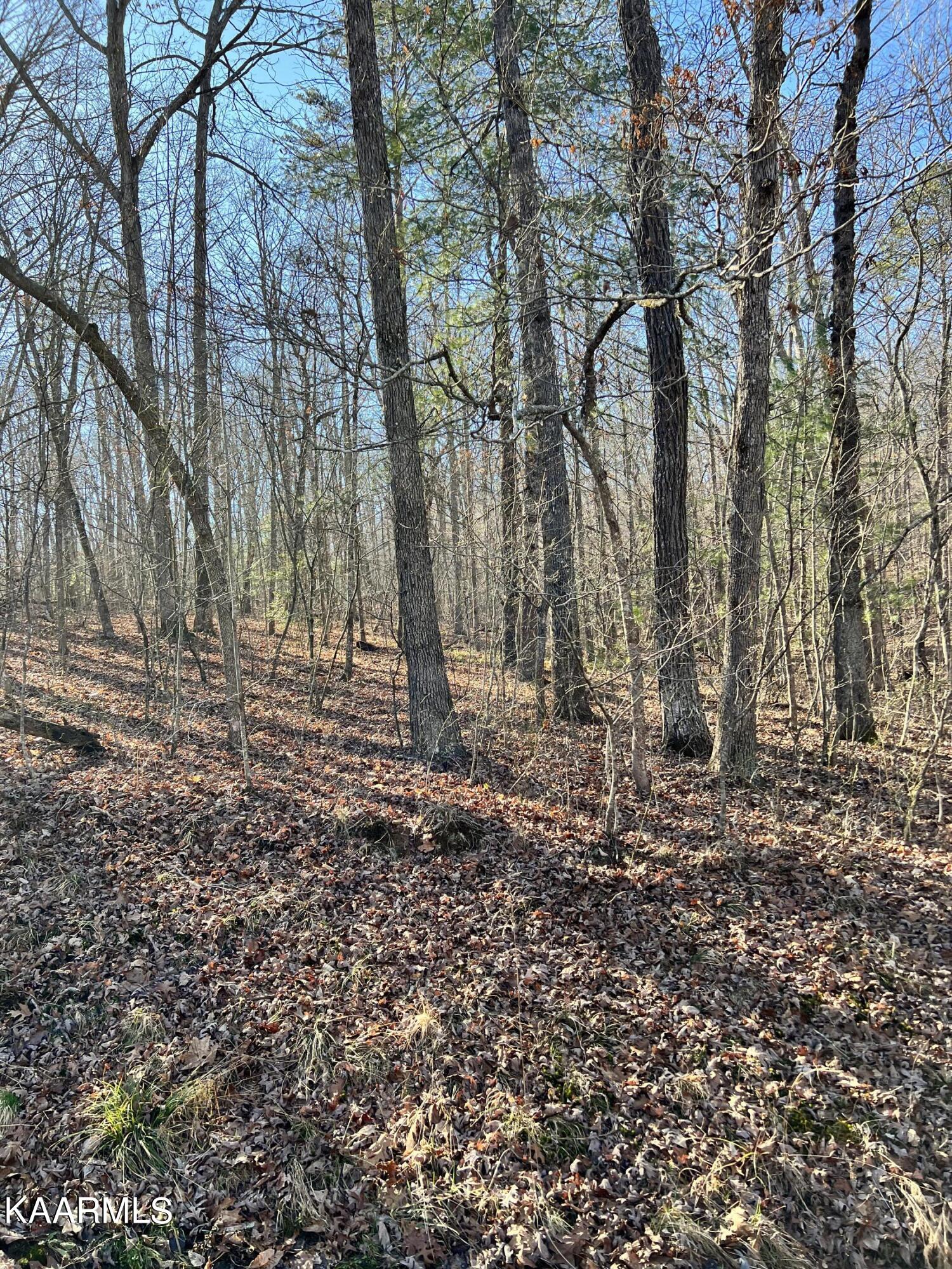 128 Hunterwood Lane Crossville TN 38558
