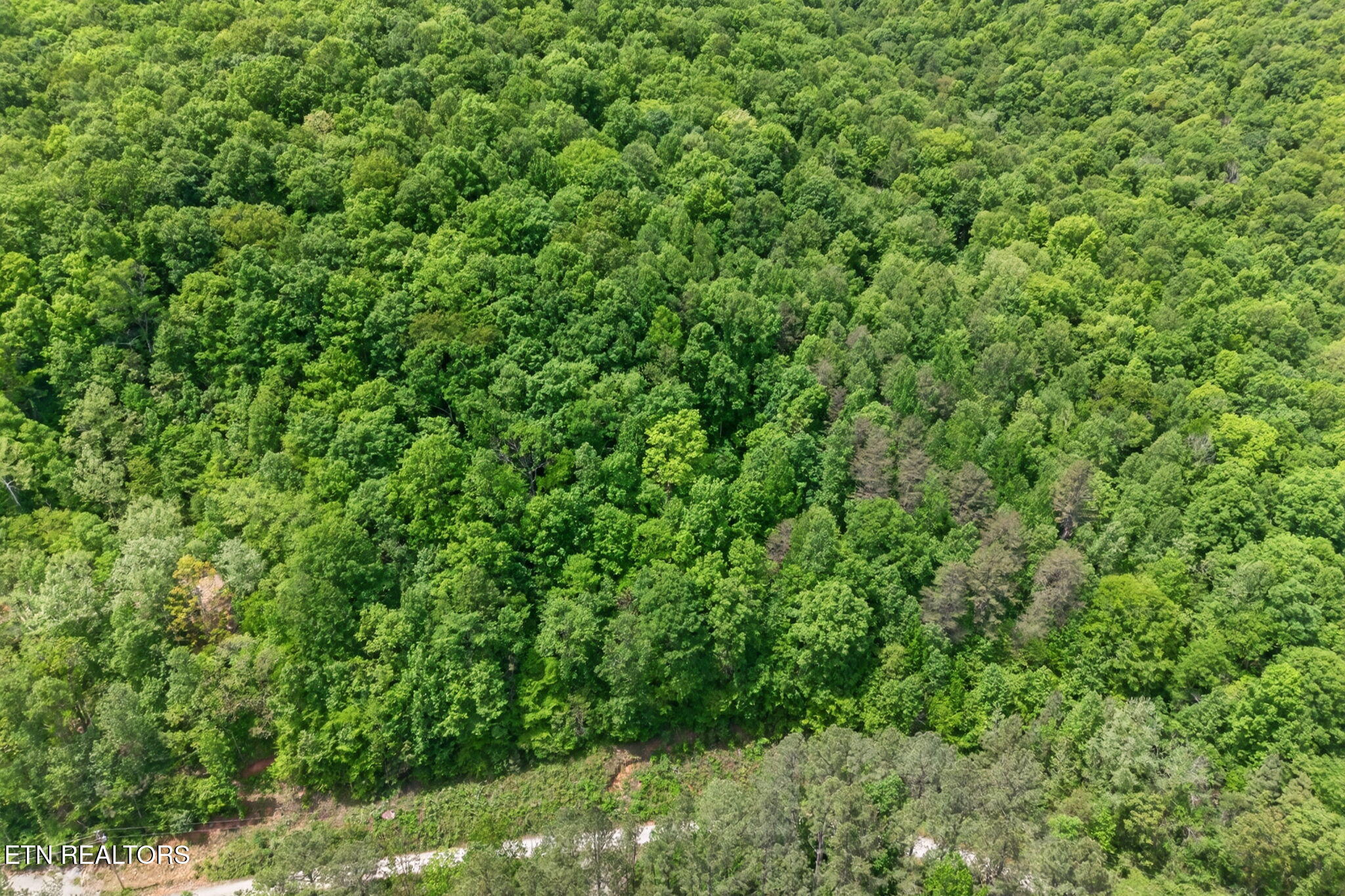 1041 E Obey Lane Wilder TN 38589