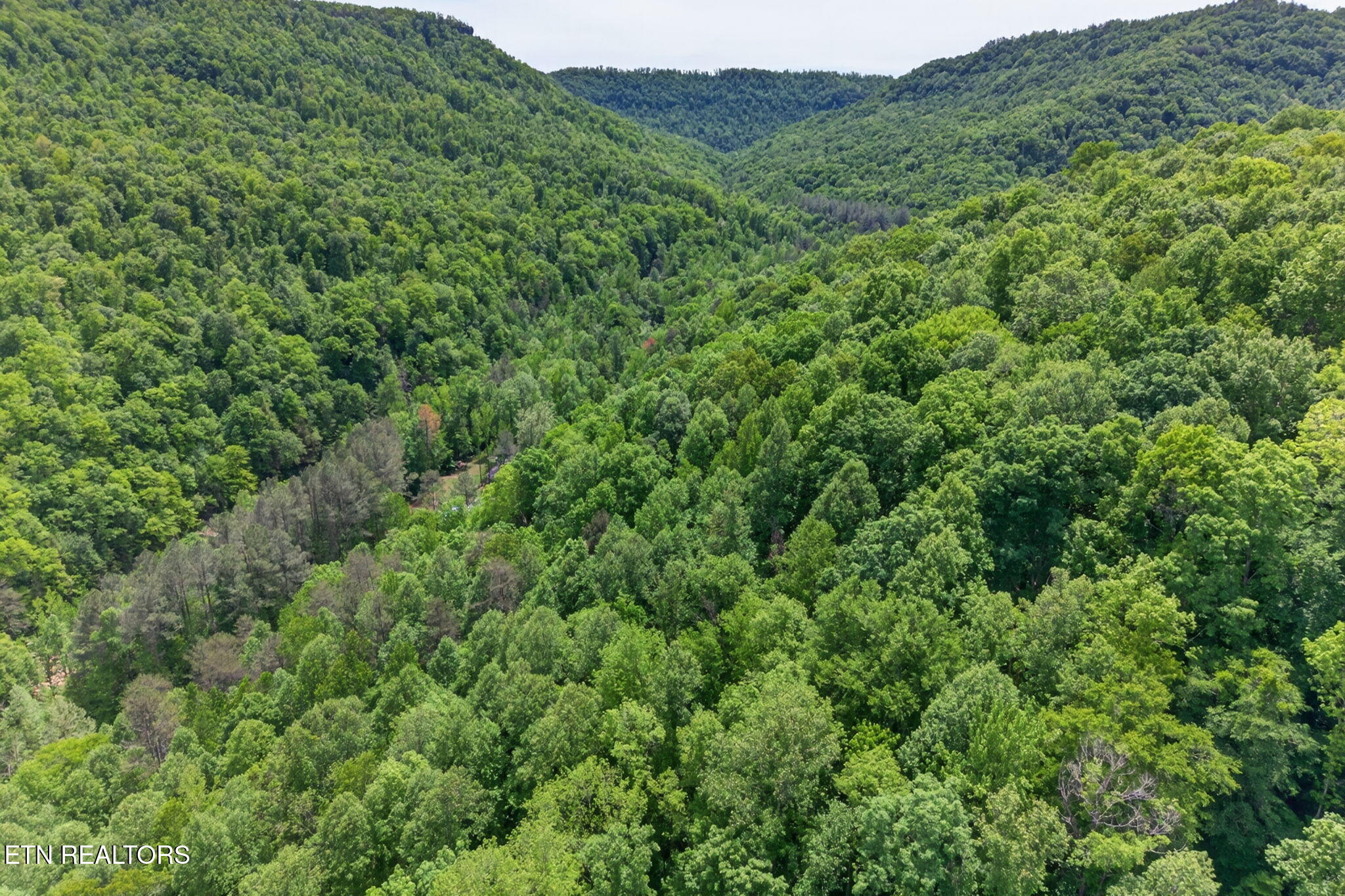 1041 E Obey Lane Wilder TN 38589