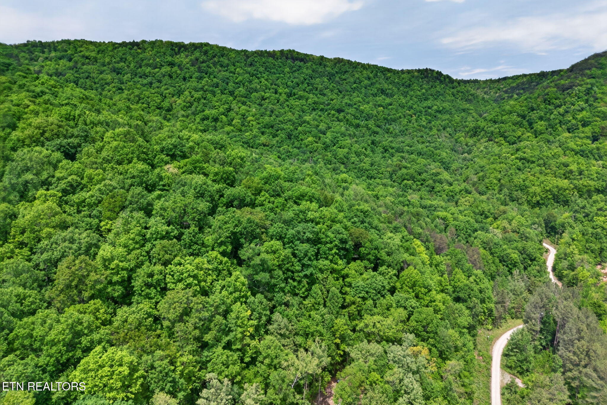 1041 E Obey Lane Wilder TN 38589