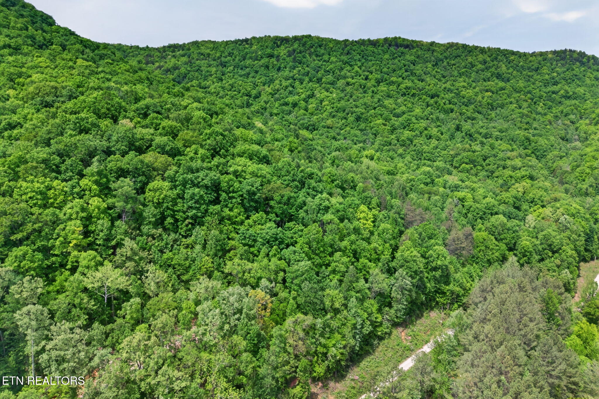 1041 E Obey Lane Wilder TN 38589