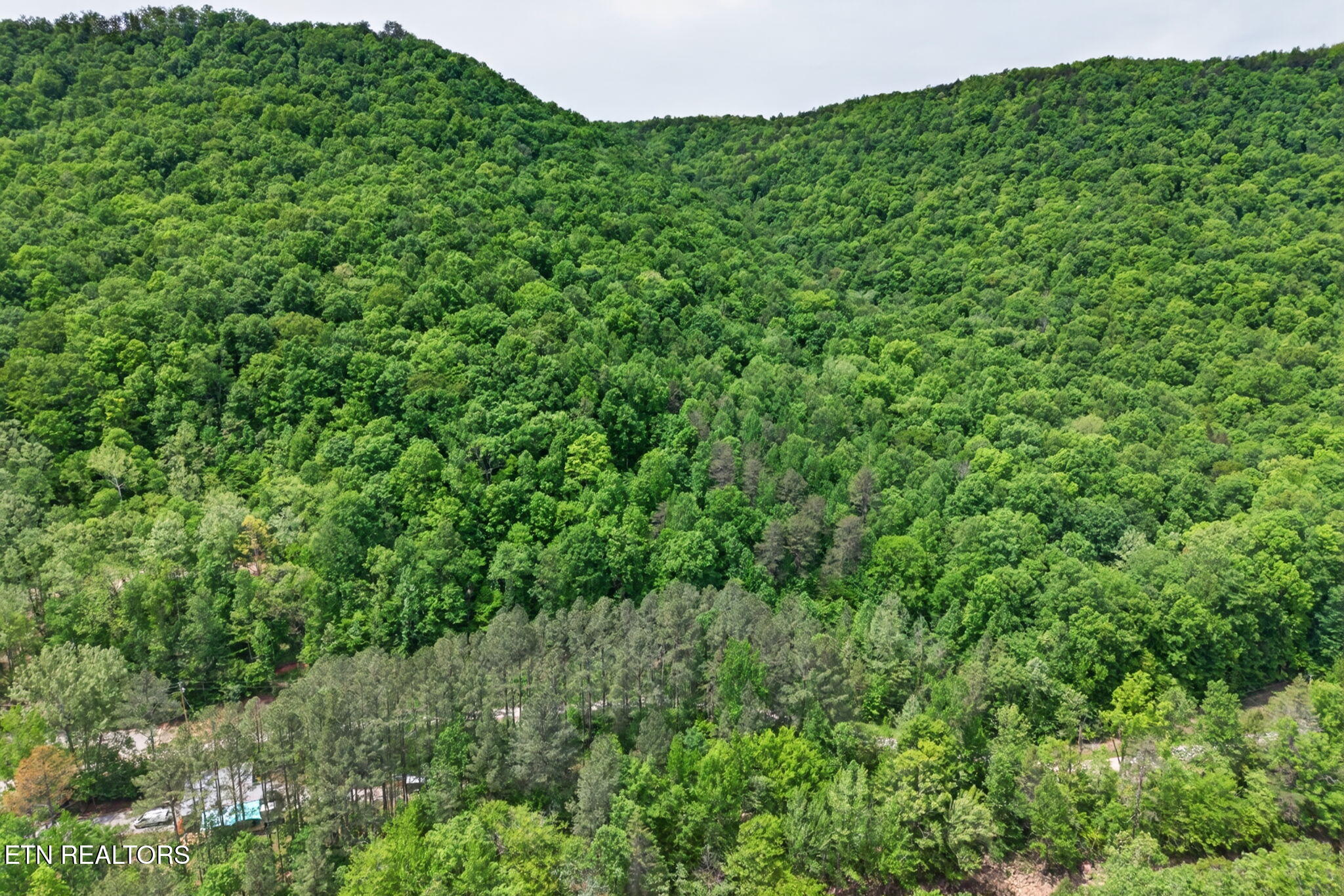1041 E Obey Lane Wilder TN 38589