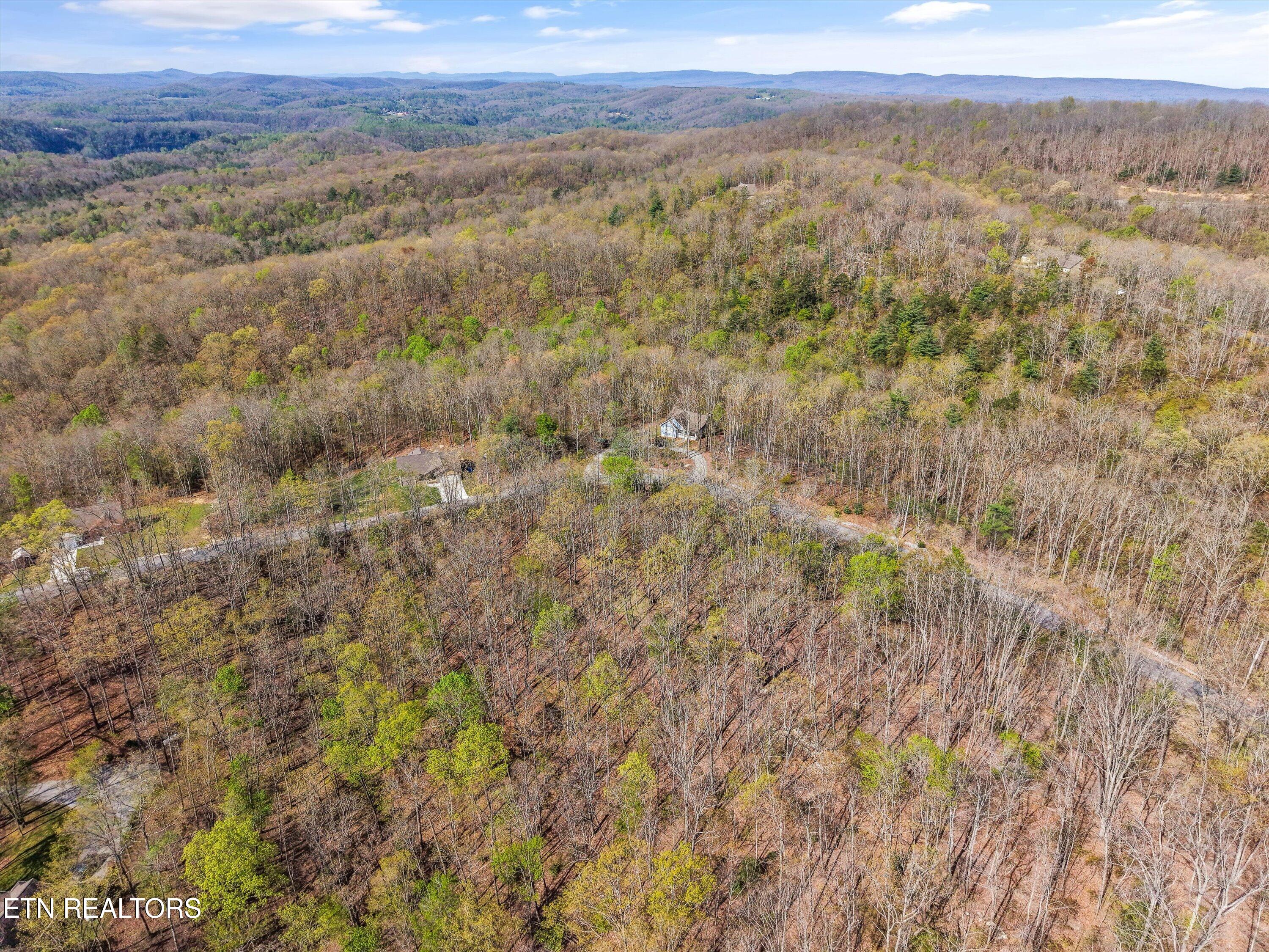 313 Country Wood Place Harriman TN 37748