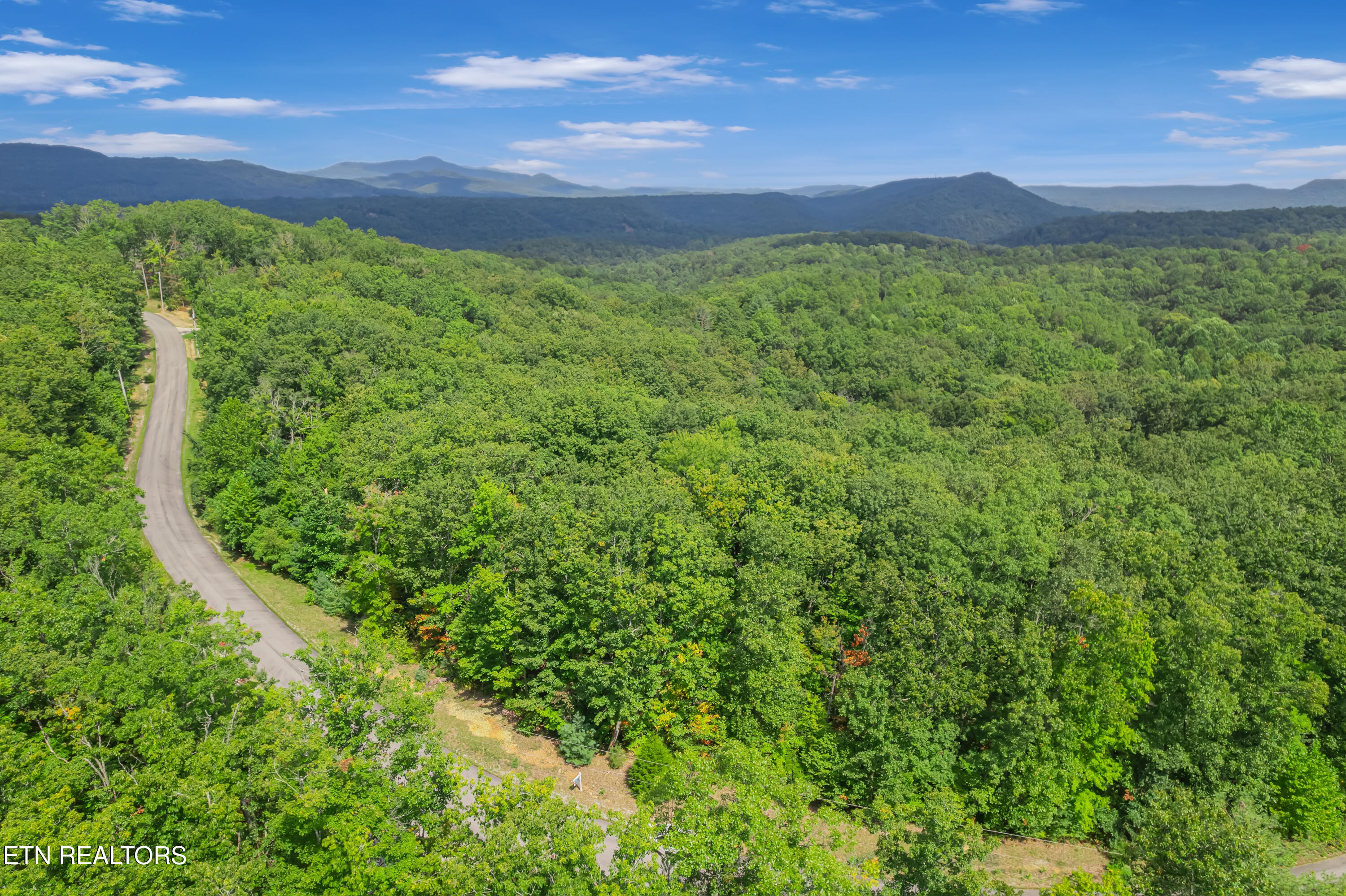 313 Country Wood Place Harriman TN 37748