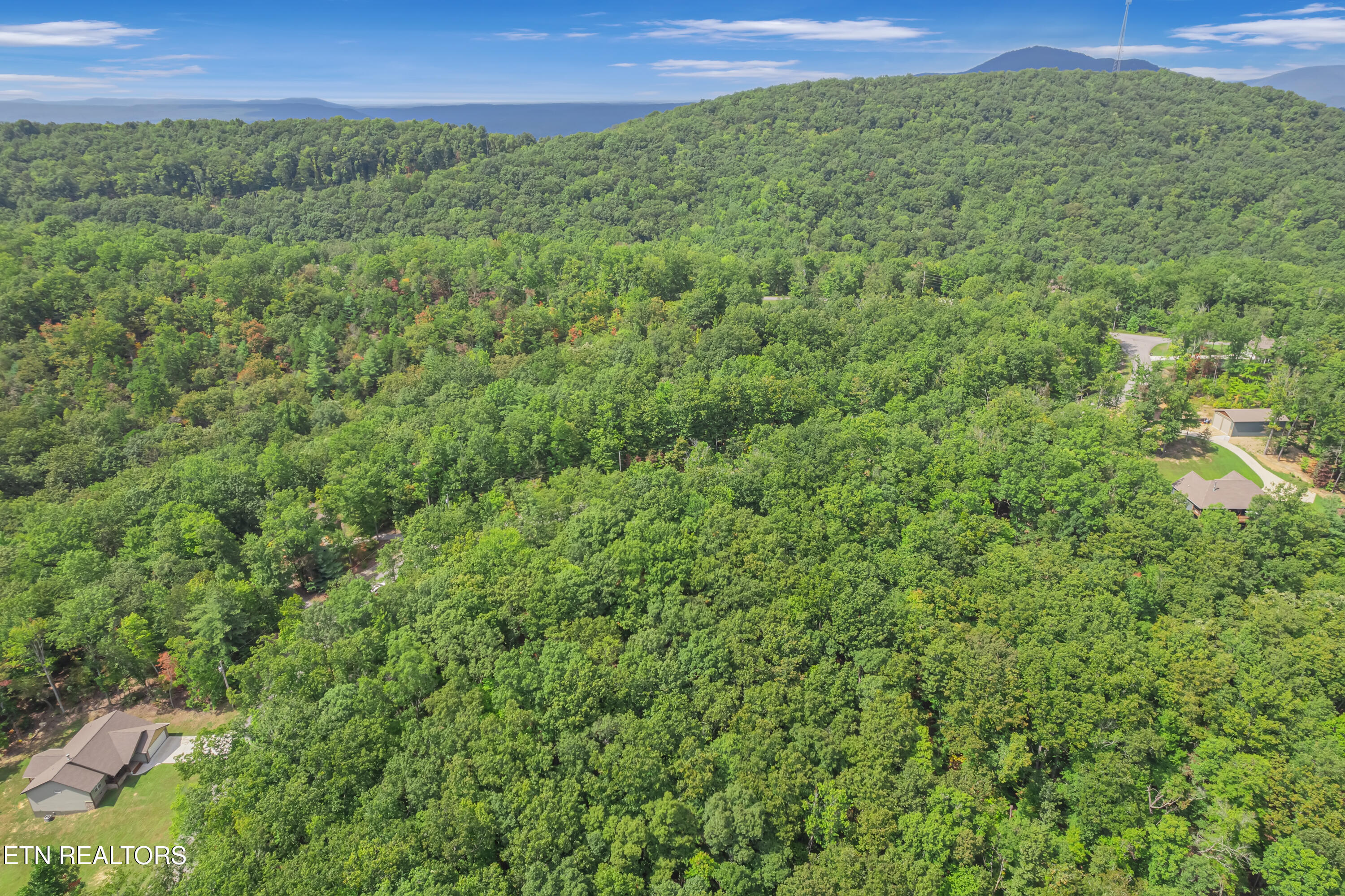 313 Country Wood Place Harriman TN 37748