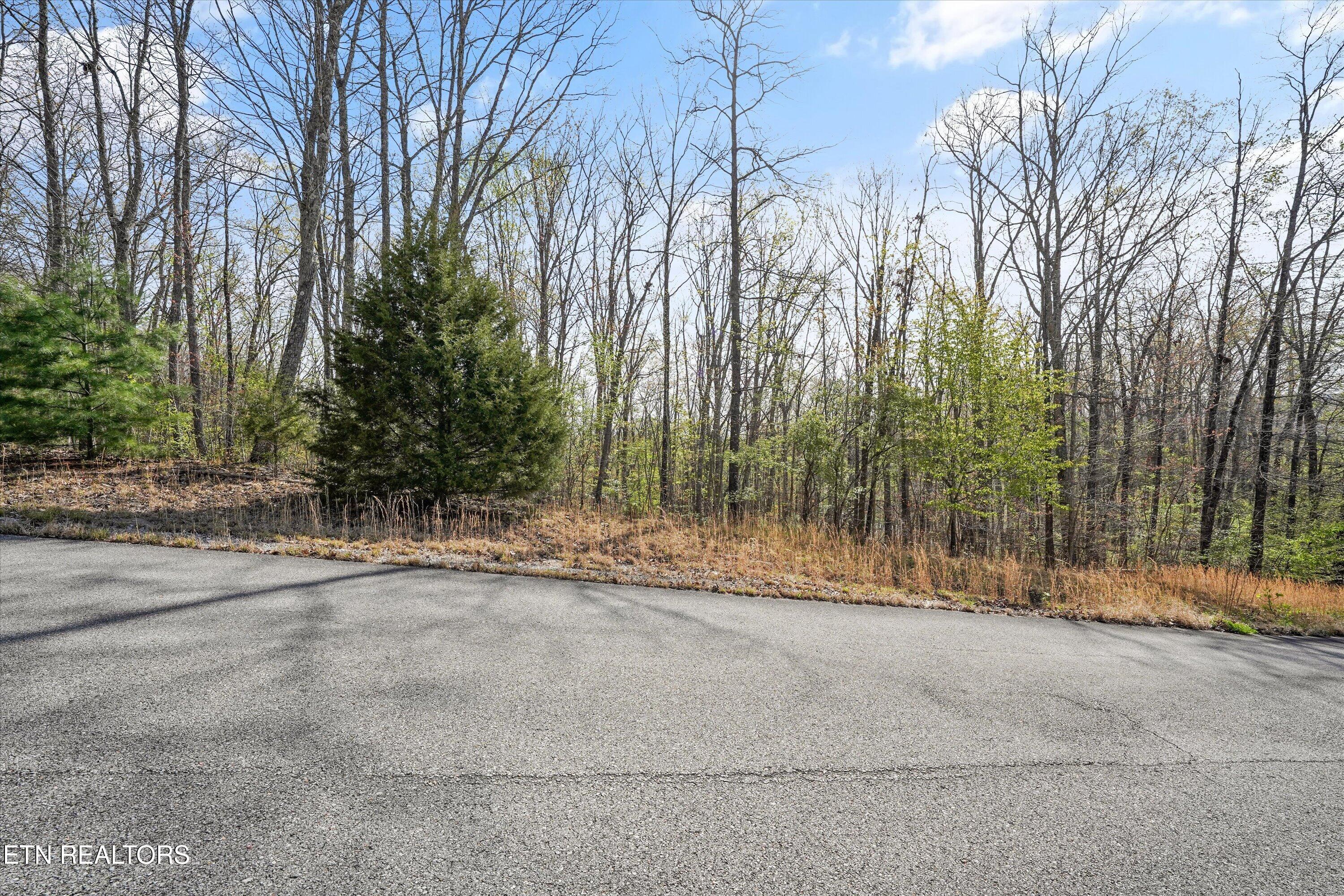 313 Country Wood Place Harriman TN 37748