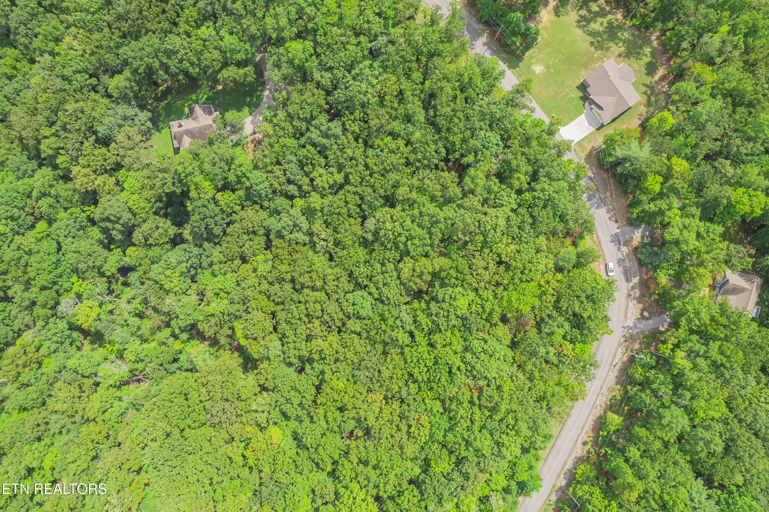 313 Country Wood Place Harriman TN 37748
