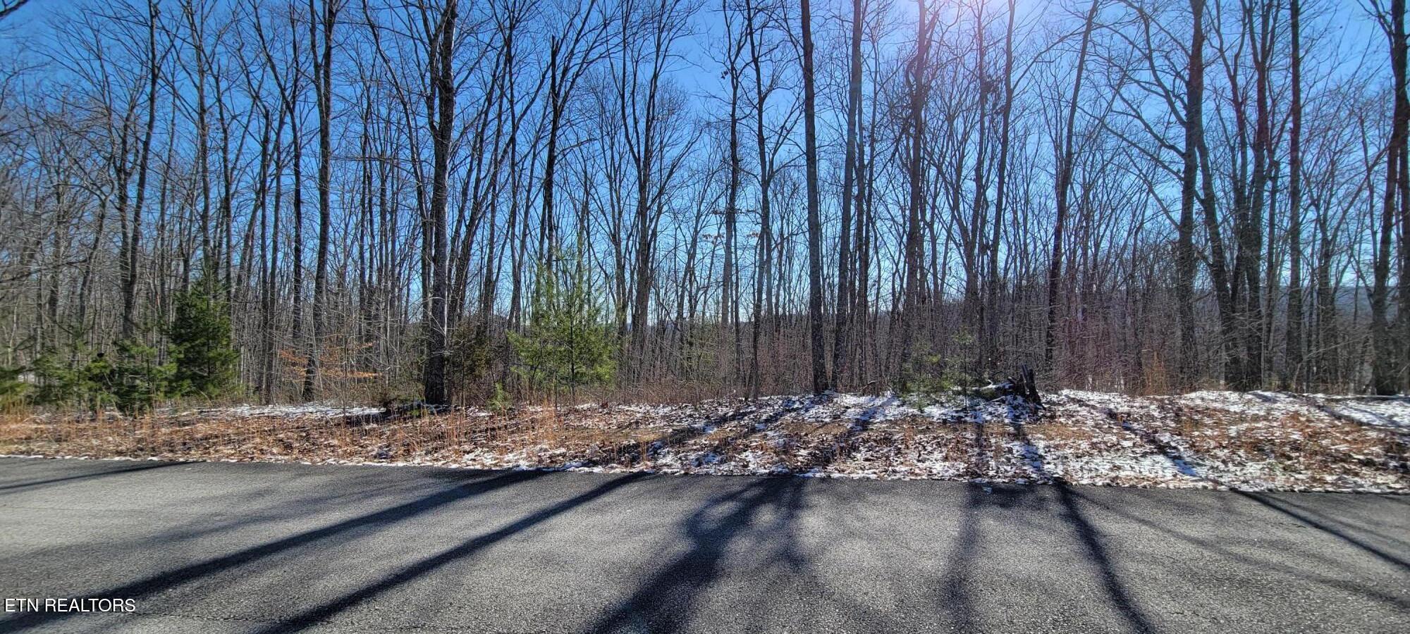 313 Country Wood Place Harriman TN 37748