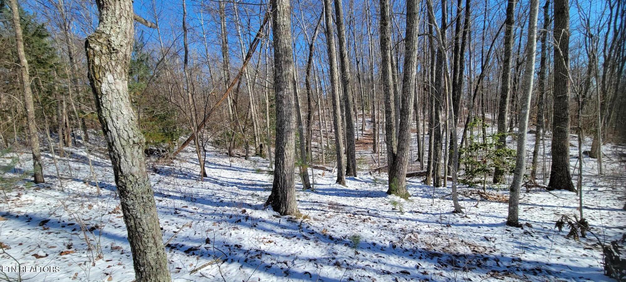 313 Country Wood Place Harriman TN 37748