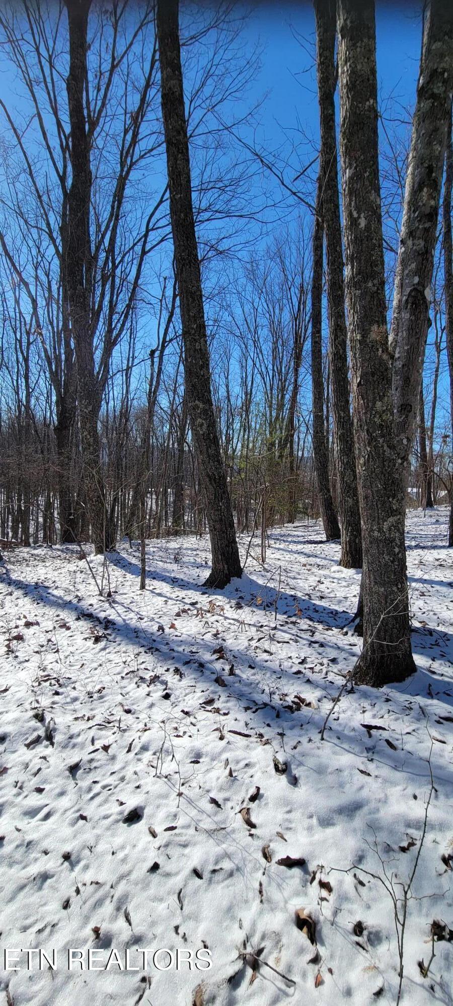313 Country Wood Place Harriman TN 37748