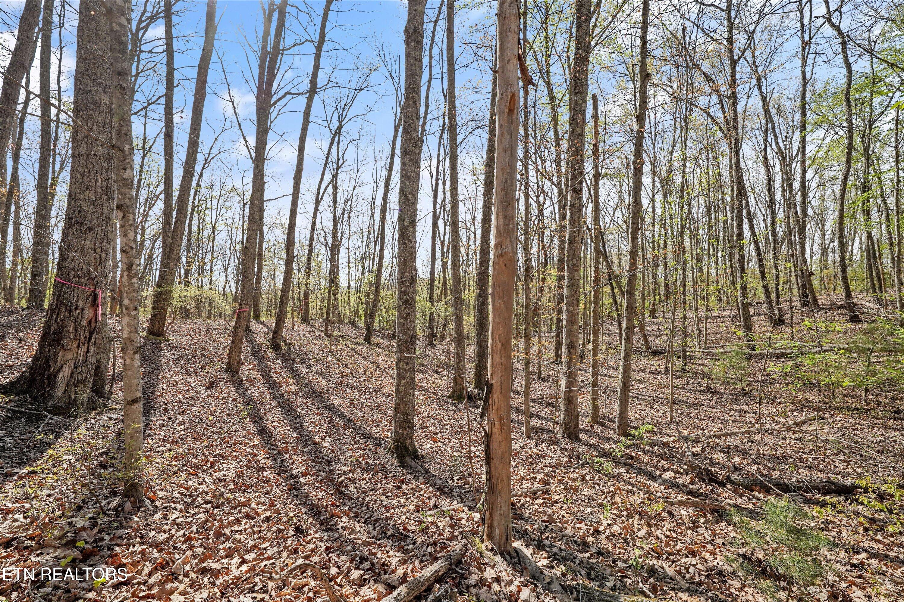 313 Country Wood Place Harriman TN 37748