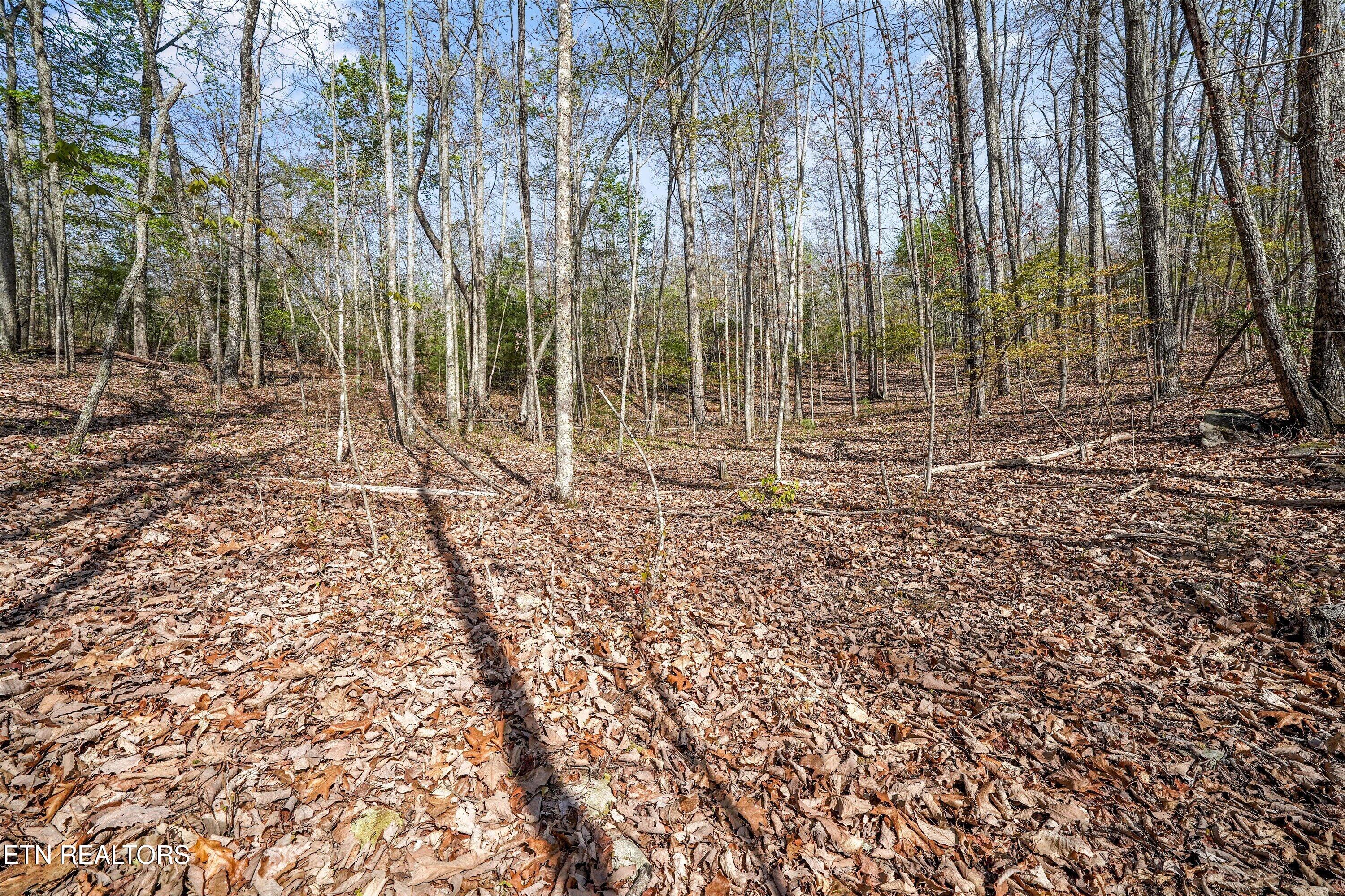 313 Country Wood Place Harriman TN 37748
