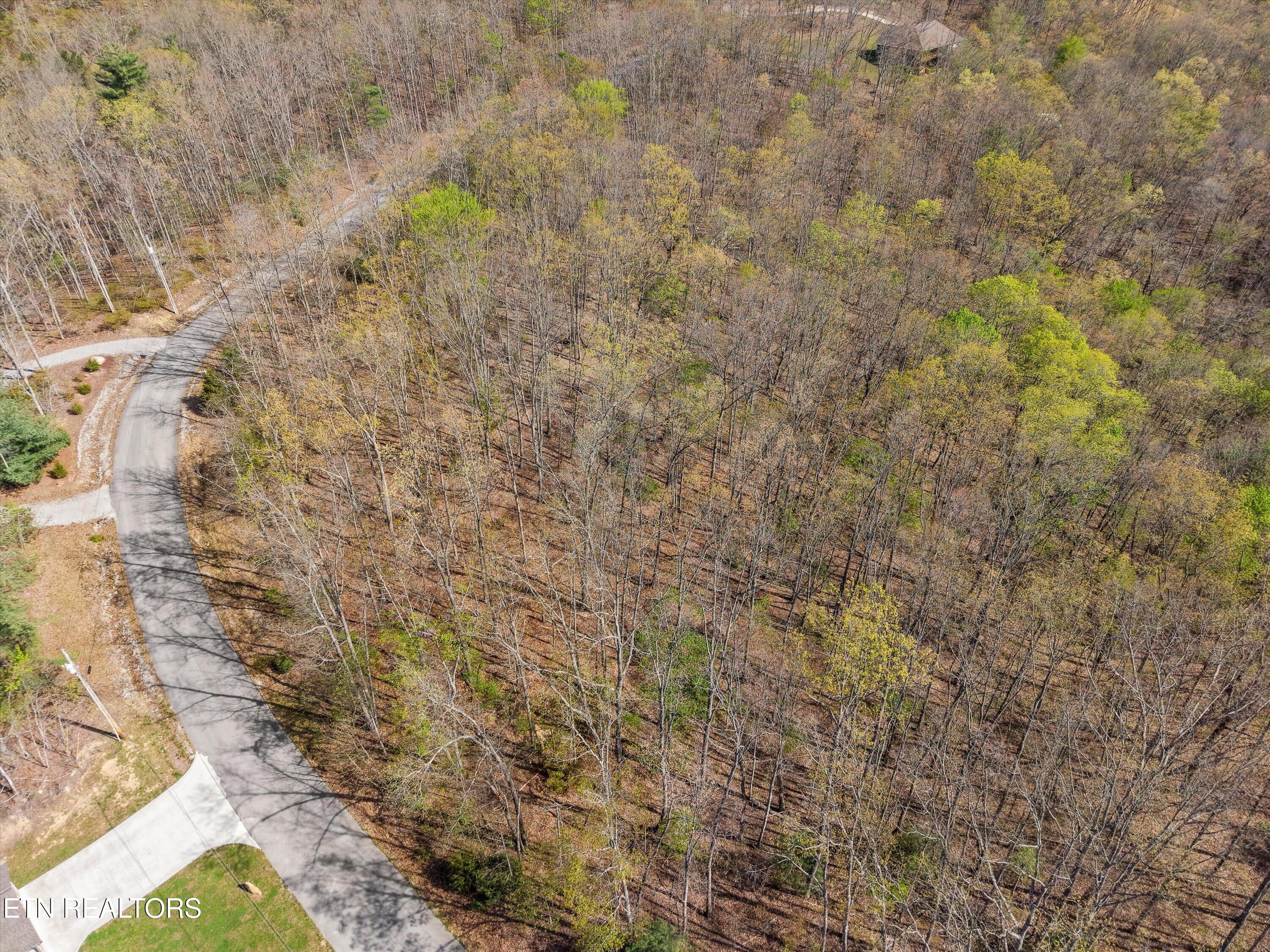313 Country Wood Place Harriman TN 37748