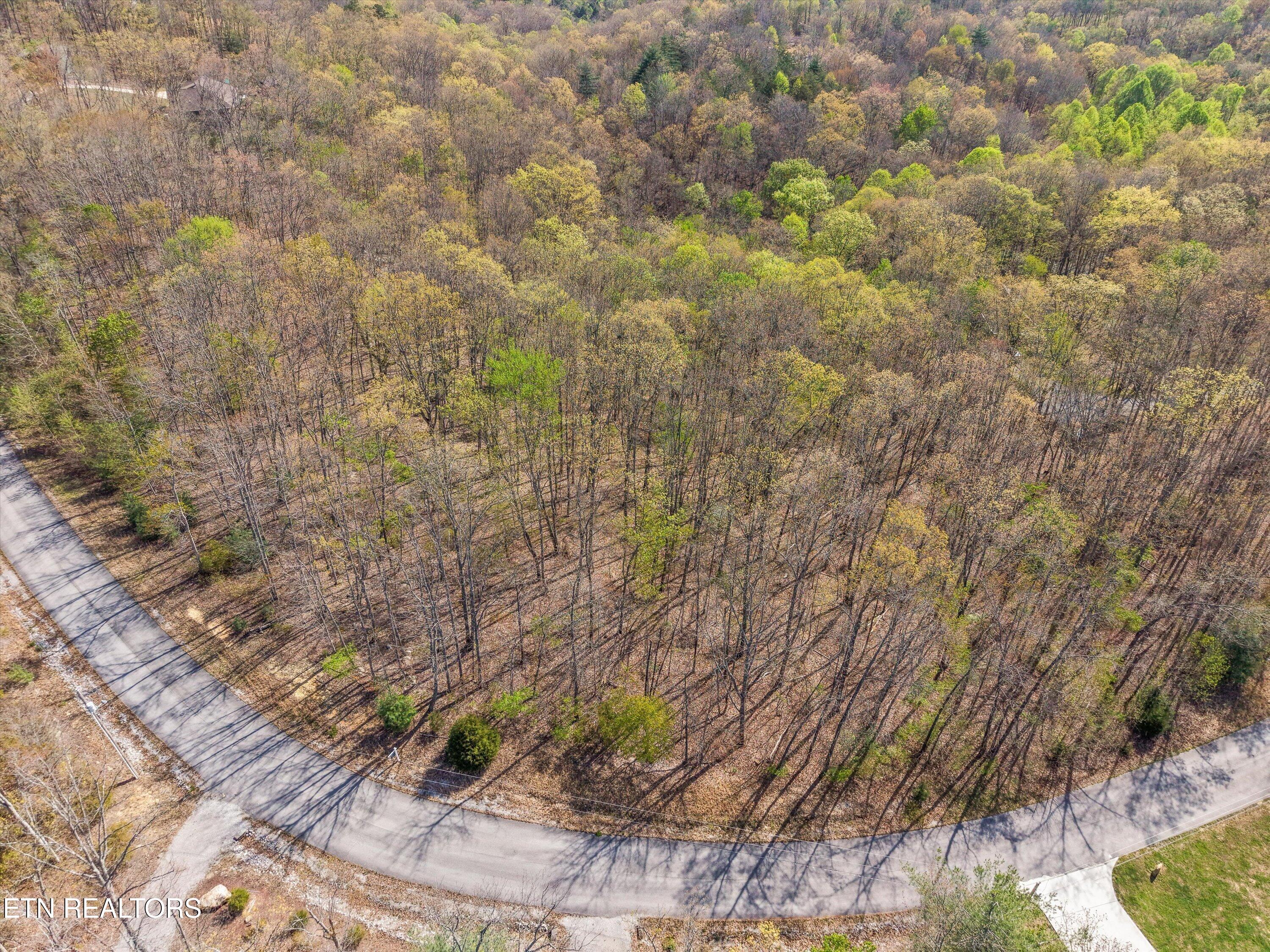 313 Country Wood Place Harriman TN 37748