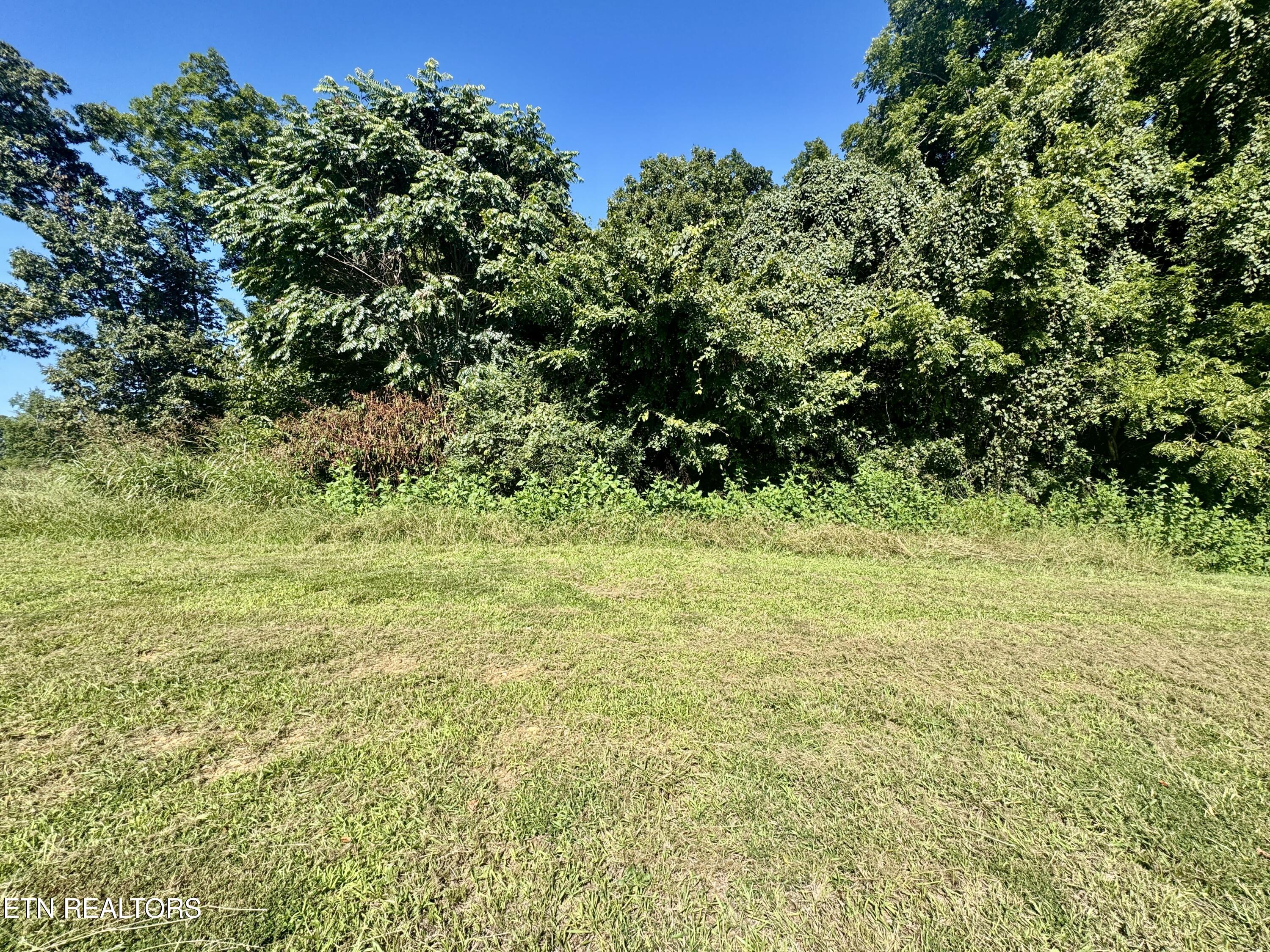 Bridgewater Boulevard Morristown TN 37814