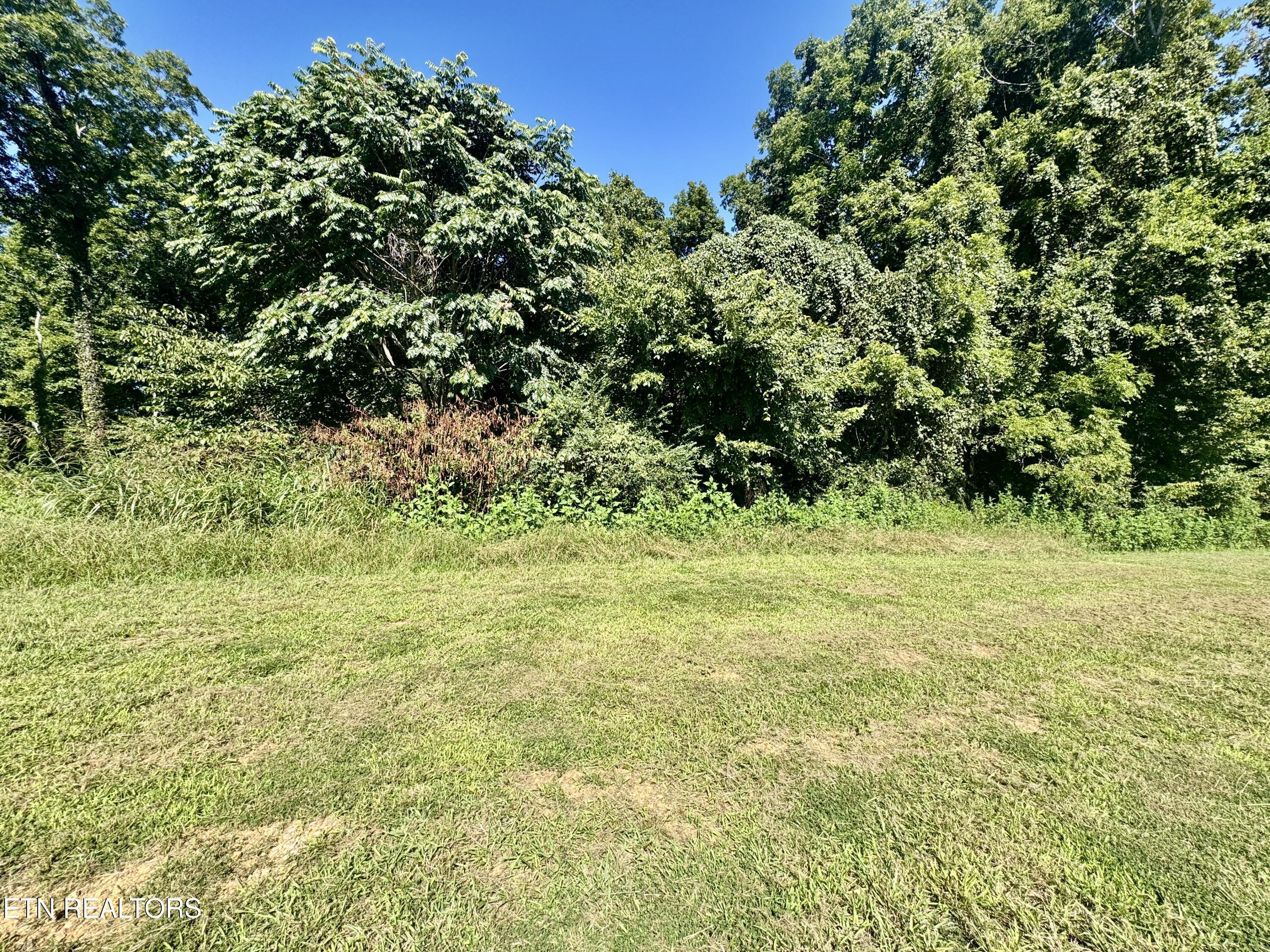 Bridgewater Boulevard Morristown TN 37814