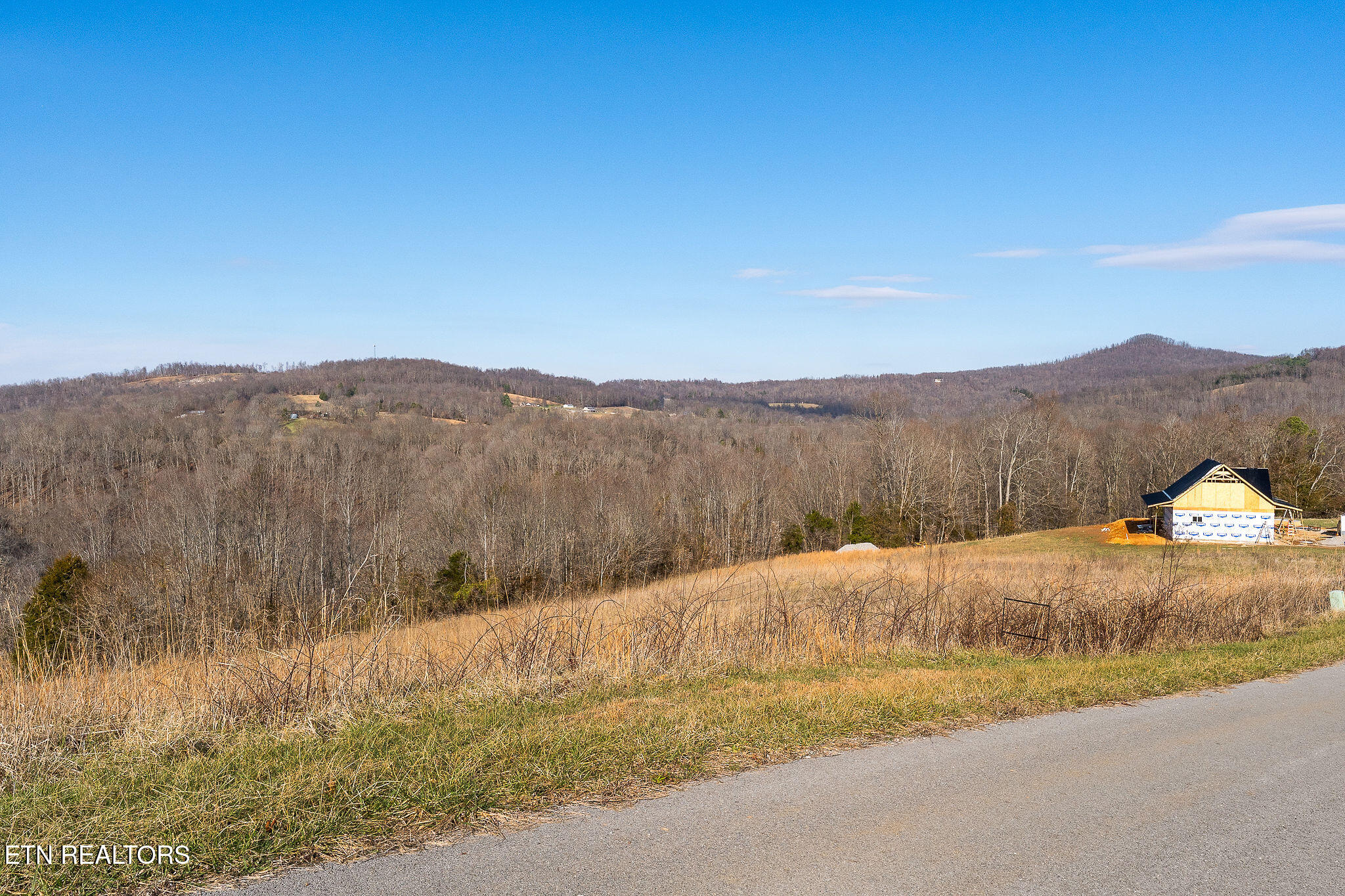 Lot 14 Amonett Circle Byrdstown TN 38549