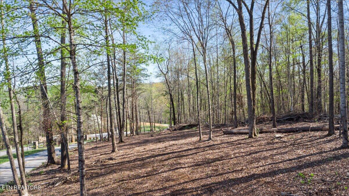 Lot 14 Demory Road Lafollette TN 37766