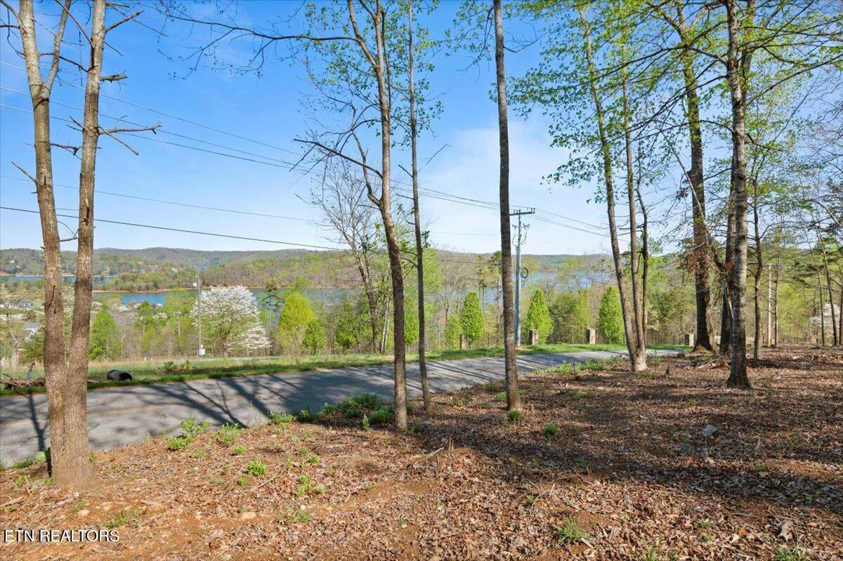 Lot 14 Demory Road Lafollette TN 37766