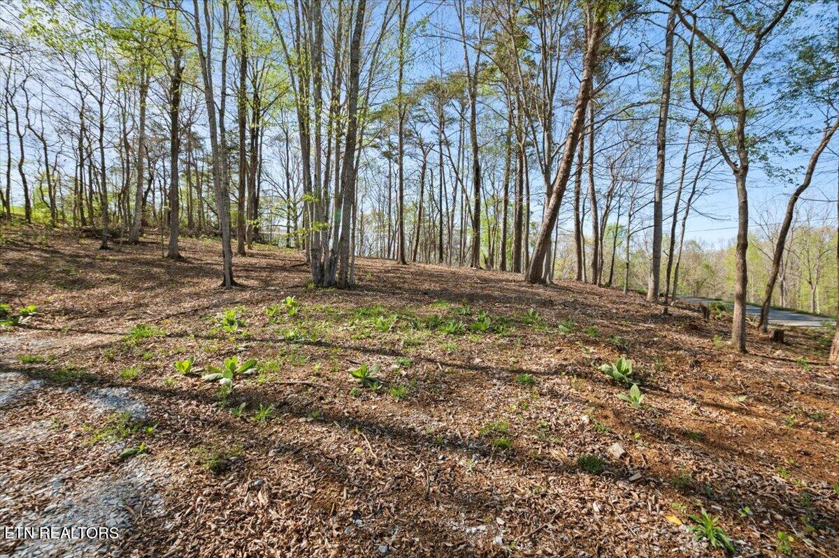 Lot 14 Demory Road Lafollette TN 37766