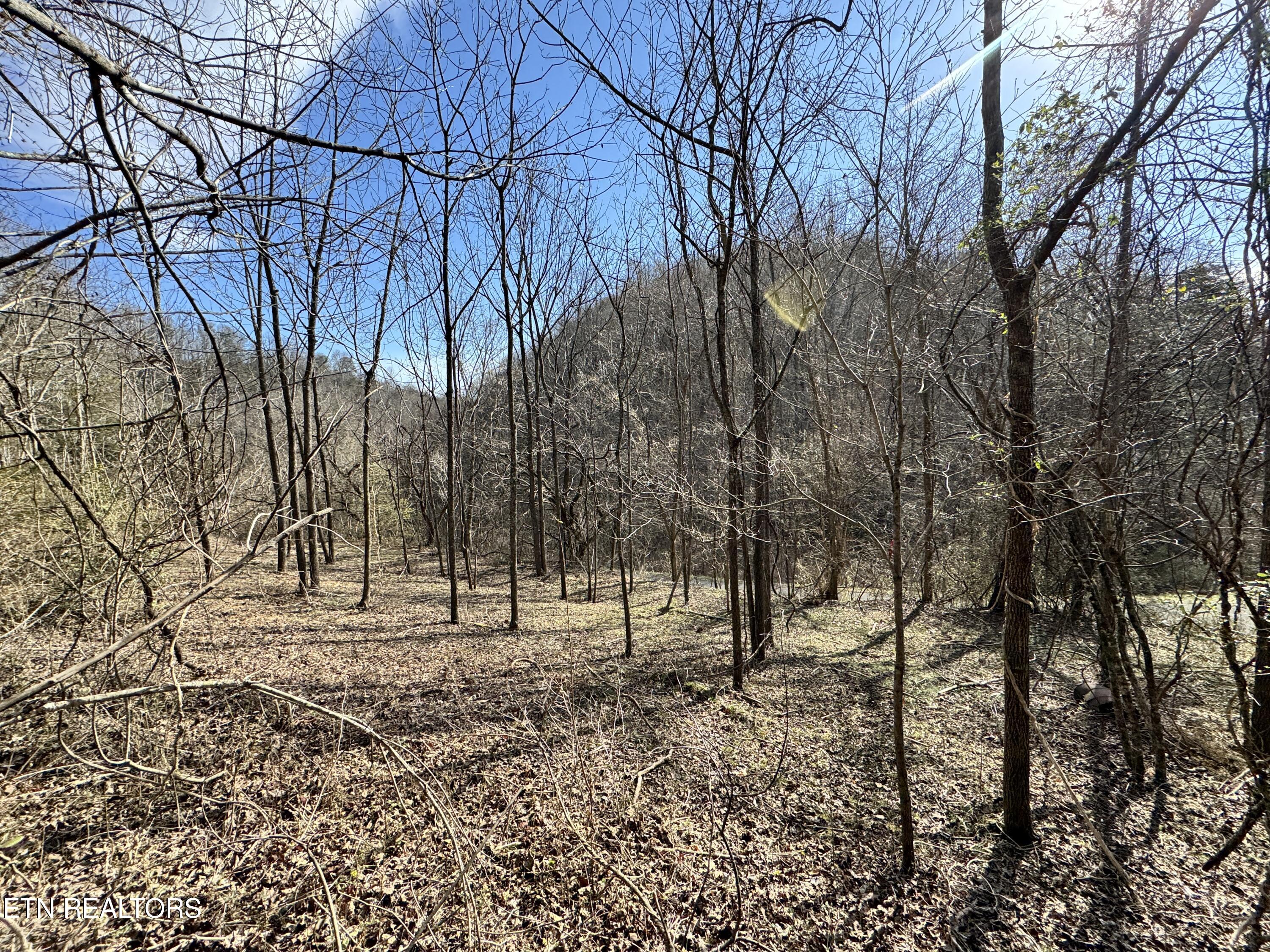 1135 Ned Clark Road Bean Station TN 37708