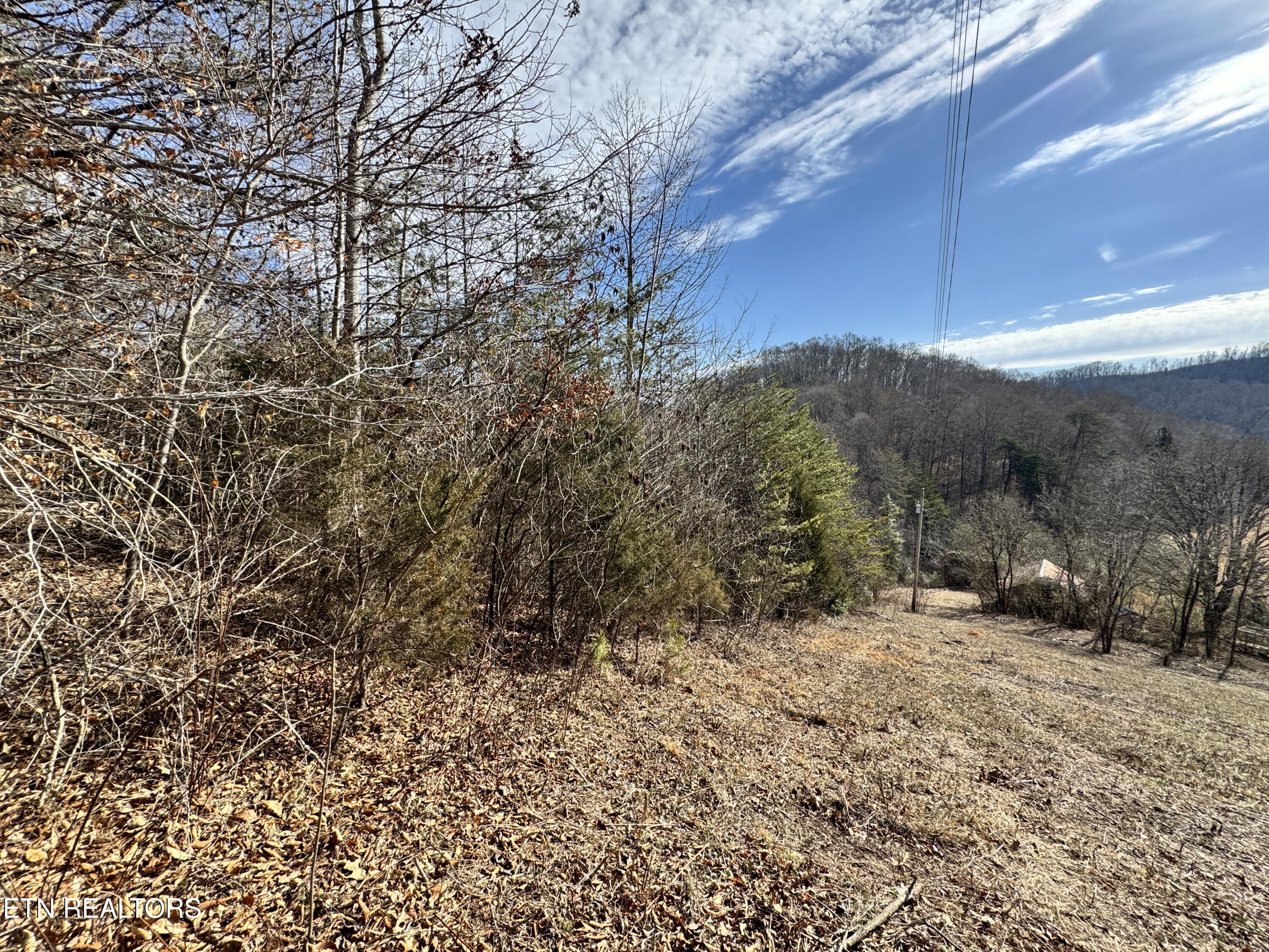 1135 Ned Clark Road Bean Station TN 37708