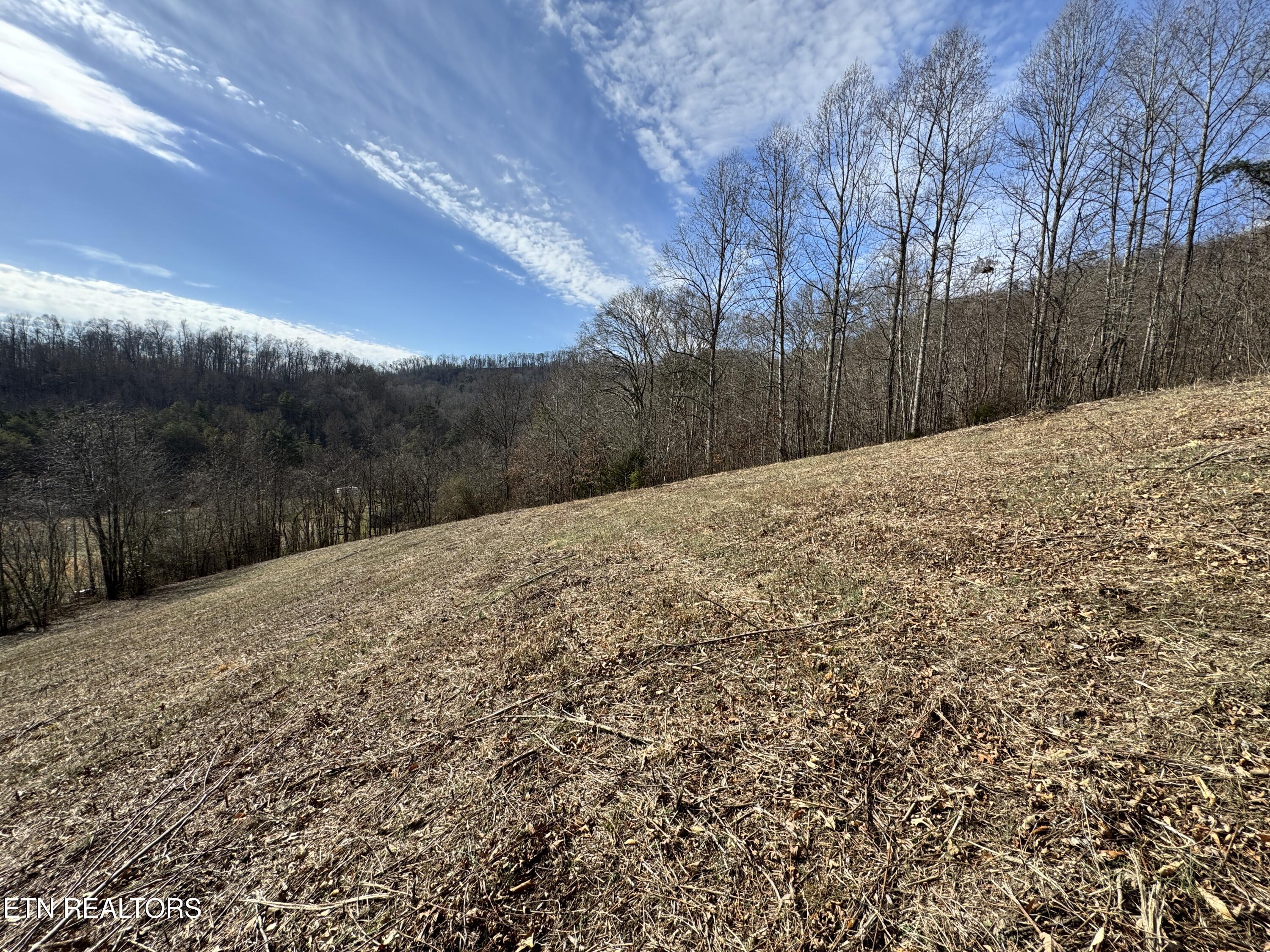 1135 Ned Clark Road Bean Station TN 37708