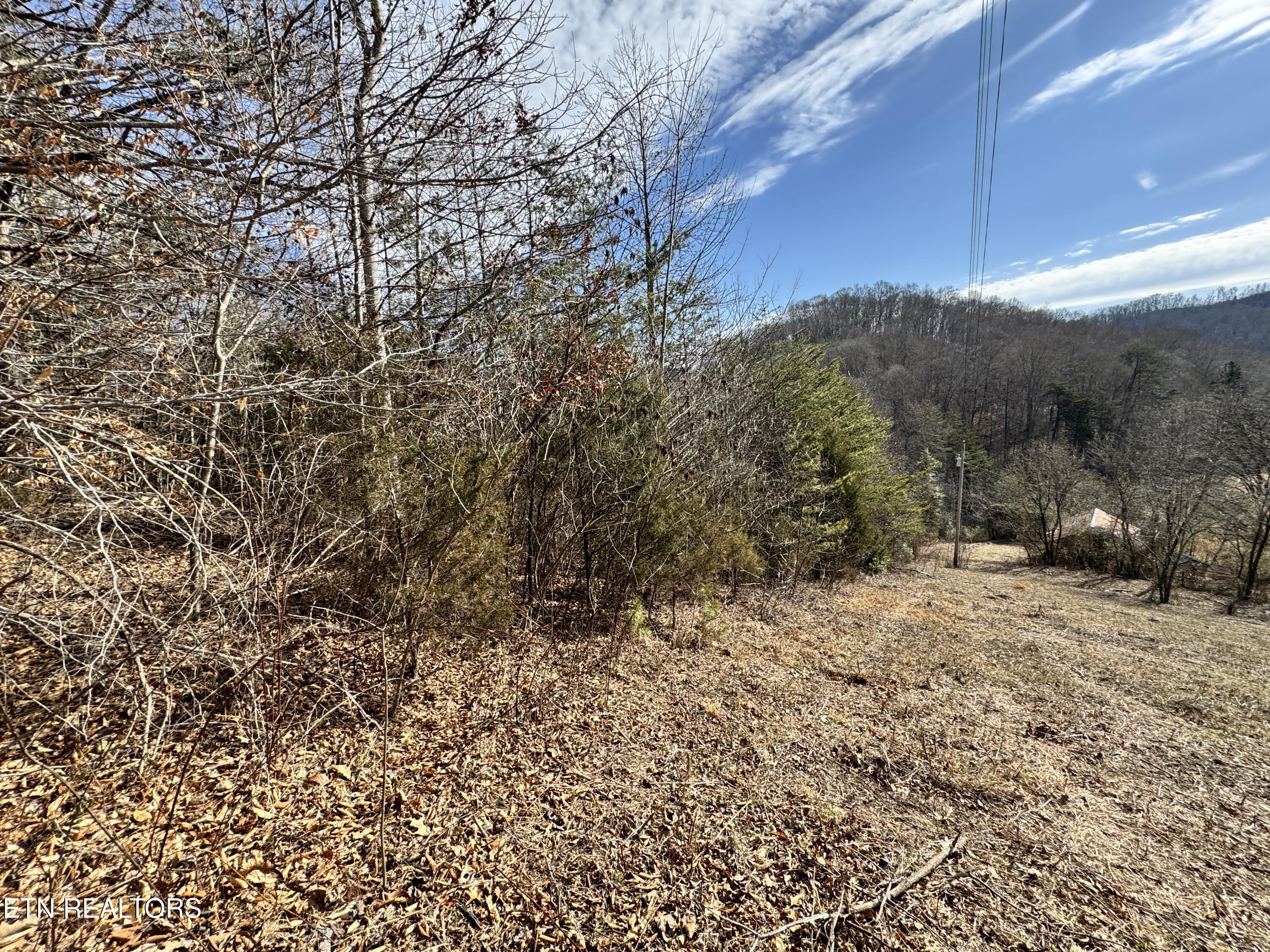 1135 Ned Clark Road Bean Station TN 37708