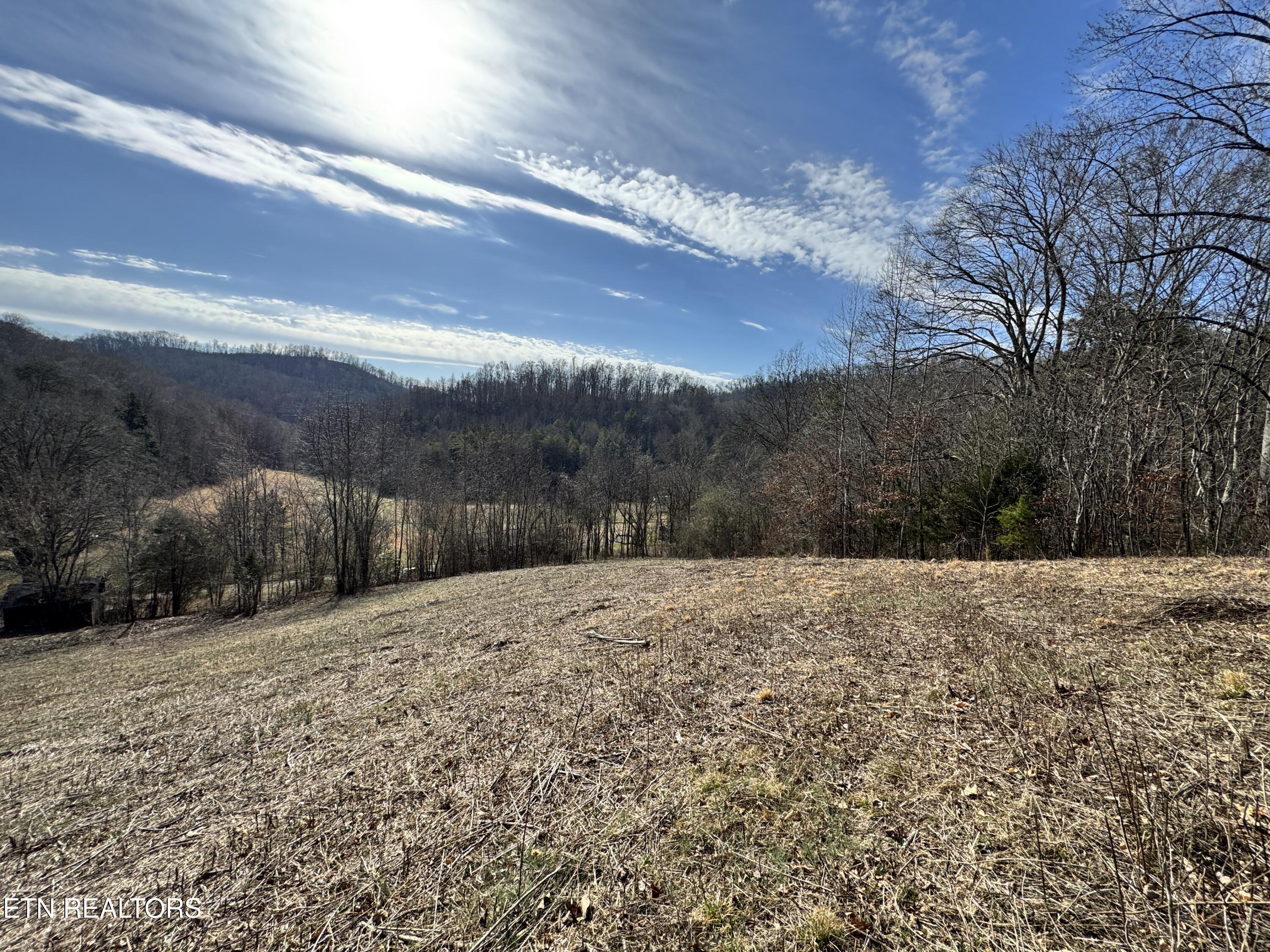 1135 Ned Clark Road Bean Station TN 37708